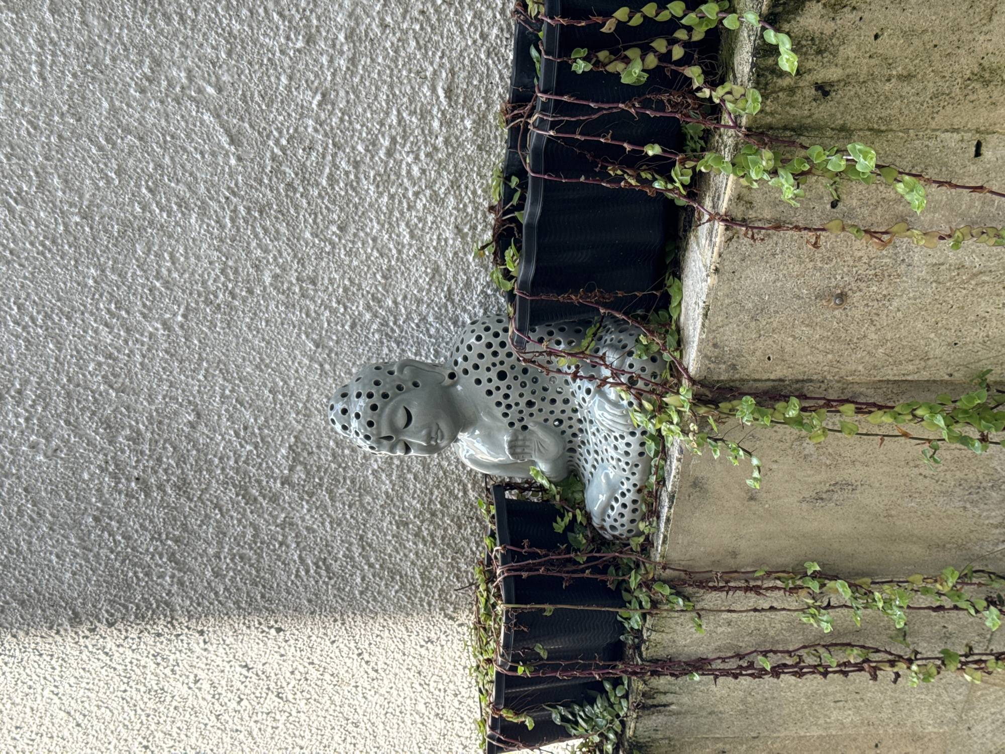 A ceramic Buddha statue with circular perforations sits on a black ledge, intertwined with vines and greenery. The background is textured; a wall with a rough, white plaster finish is on the left, while a grey stone-like surface with horizontal lines is on the right. The scene is outdoors, with the composition focused on the statue and its immediate surroundings. Based on the location metadata, this scene is in Jimbaran, Indonesia.