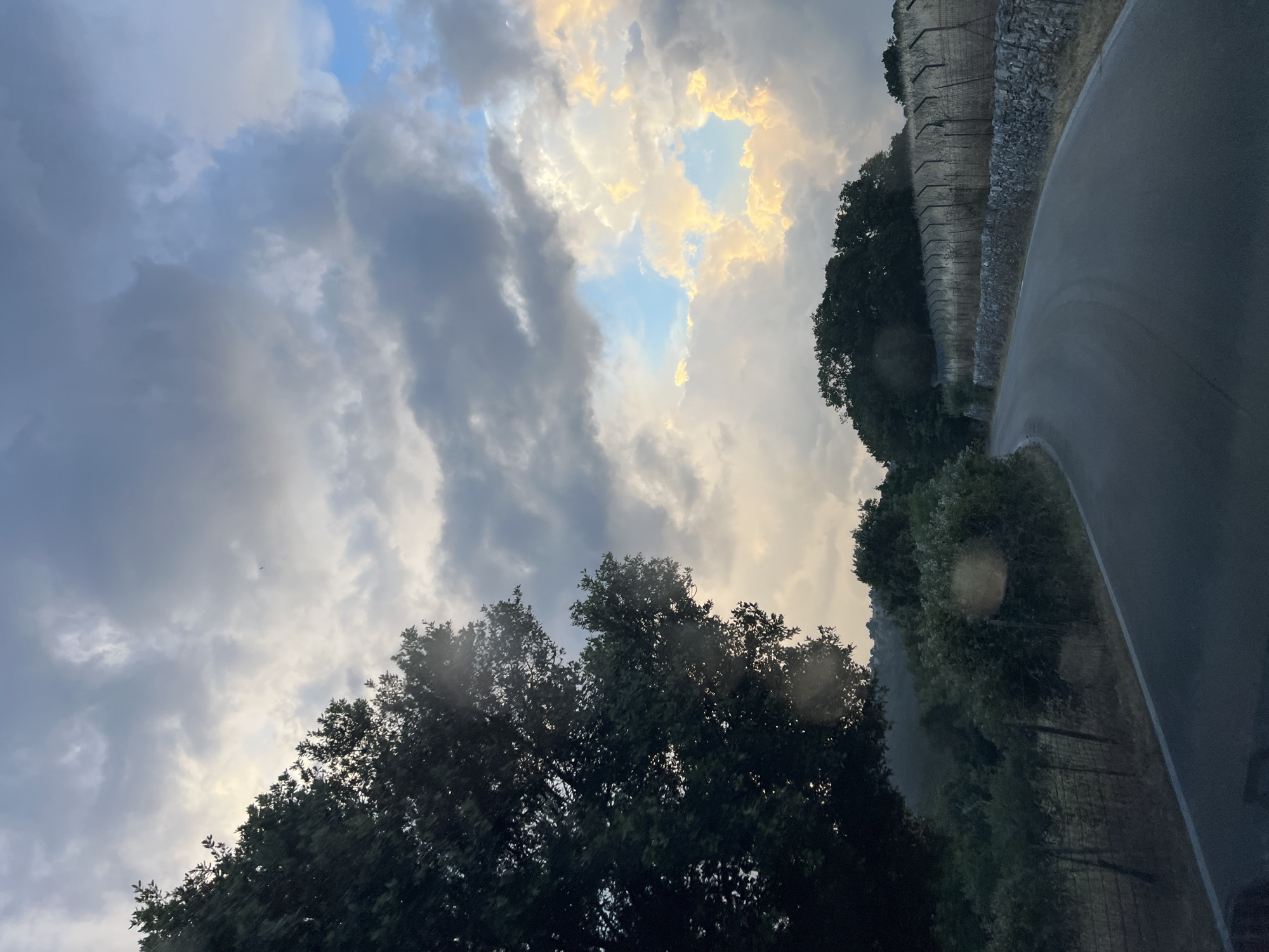 The image depicts a rural road in Mattinata, Italy, curving through a landscape of dense green trees and vegetation. On the right side of the road, a dry stone wall runs along the perimeter, topped by a wire fence. The sky above is filled with dramatic clouds, with patches of blue sky and illuminated clouds suggesting either dawn or dusk. The road itself is asphalt, marked with a white line on the left edge. The overall scene conveys a sense of natural beauty and tranquility, characteristic of the Italian countryside. There are no people or vehicles visible in the image.