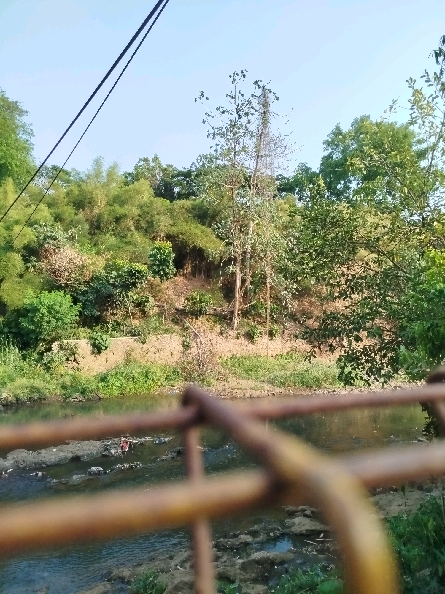The image depicts a scene of a riverbank in Depok, Indonesia, with a body of water flowing in the foreground. The river is murky and appears to contain debris, including plastic bags and other refuse. The riverbank is lined with lush green vegetation, including bamboo trees and other foliage. In the background, there is a gentle slope covered in trees and undergrowth. The sky above is clear and blue. In the immediate foreground, a blurry, rusty metal railing obstructs the view of the river and its surroundings. Two dark, angled power lines traverse the upper portion of the sky. The overall impression is of a natural environment somewhat impacted by human activity and pollution.