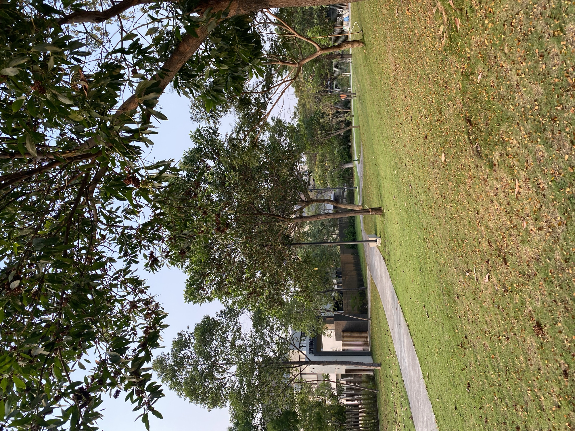 A paved pathway curves through a grassy park in East Jakarta, Indonesia. Several trees with green leaves and some with reddish-brown fruit are scattered throughout the scene, with a building visible in the background. The grass is short and green, with fallen leaves scattered across it. A lamppost stands near the pathway. The sky is clear and light blue.