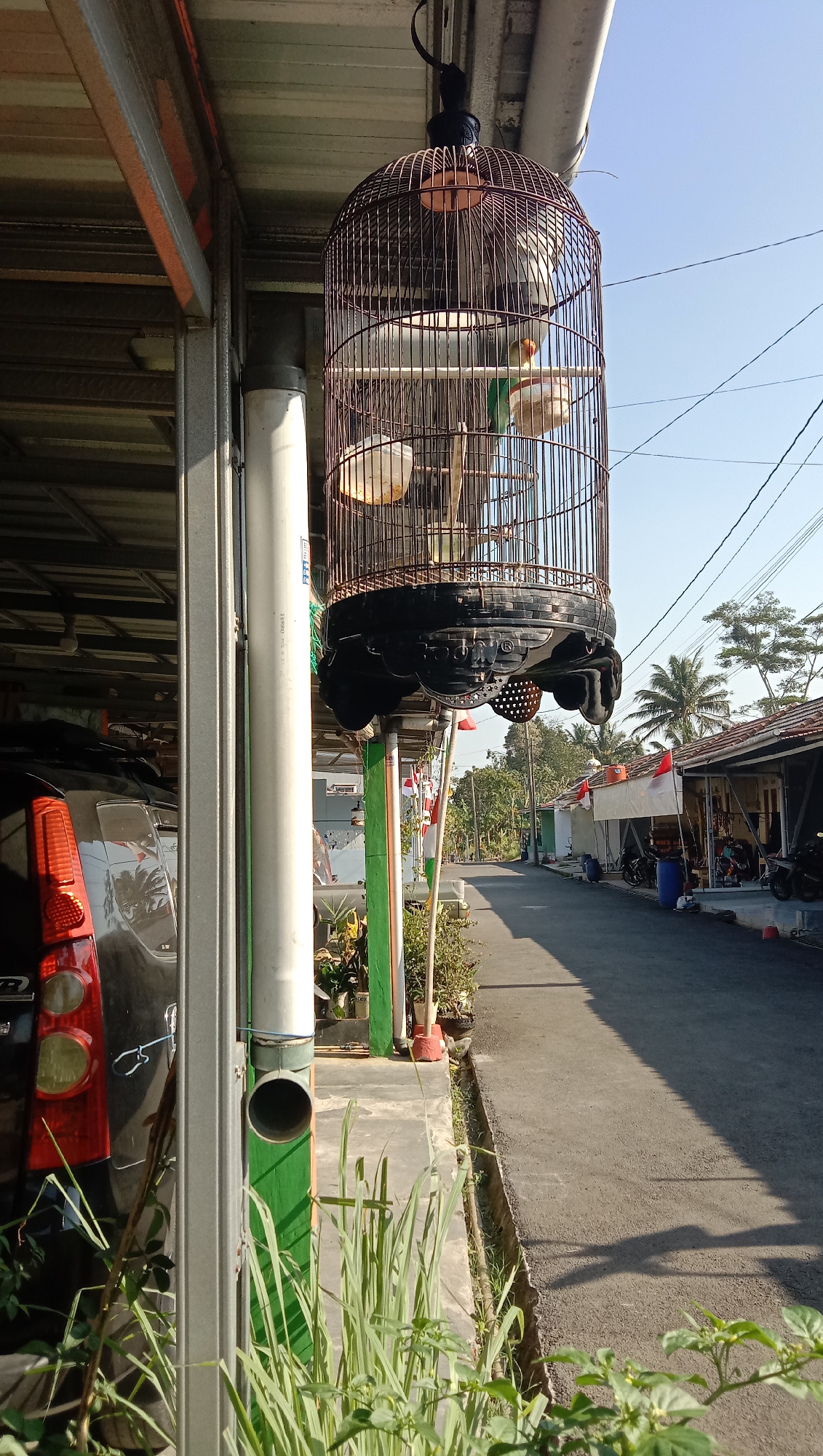 The image depicts a street scene in Karangmangu, Indonesia, on a clear day. In the foreground, a large birdcage hangs from an overhead structure, containing at least two small birds, one appearing to be green and white, and another with orange and white plumage. The cage is suspended by a black hook. To the left of the birdcage, a black car is partially visible, with its red taillight in focus. A large, white pipe runs vertically beside the car and birdcage. Beyond the birdcage, the scene opens to a paved street lined with houses. Several Indonesian flags are displayed, attached to poles in front of the houses. Motorcycles and other objects are visible in the yards of the houses. The sky is a clear blue, and the sun casts long shadows across the street, indicating it is likely morning or late afternoon. The overall environment appears to be a residential area in a tropical or subtropical climate.