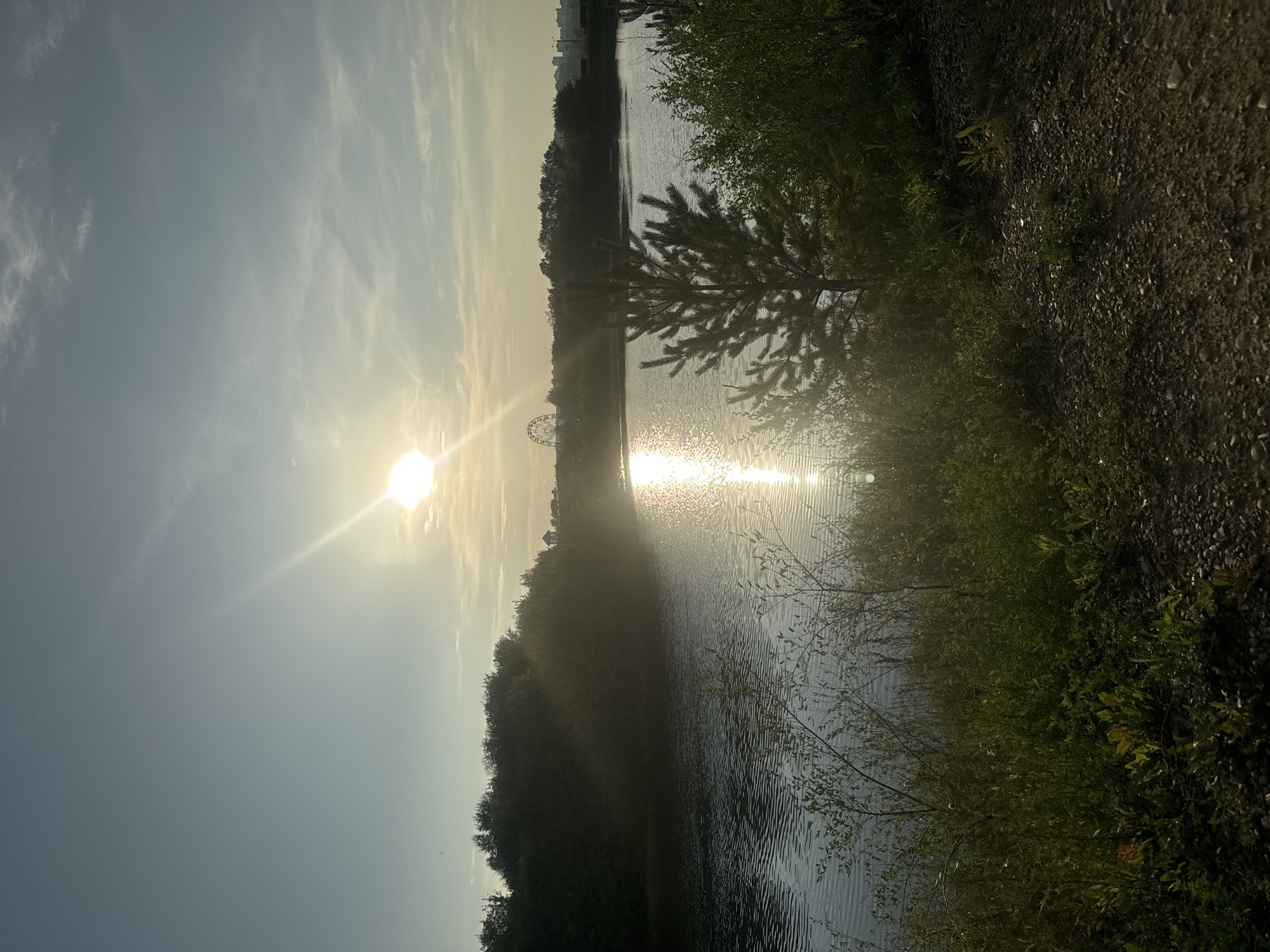 This is a horizontal, medium-shot, outdoor, natural light photograph of a lake at sunset. The sun is visible in the upper center of the image, casting a bright glare across the water. Trees line the far bank of the lake, and a Ferris wheel is visible in the distance. The foreground is filled with grass and bushes. The overall mood is peaceful and serene. The scene appears to be a park or recreational area, possibly on the outskirts of a city given the distant structures. The style is naturalistic and documentary.