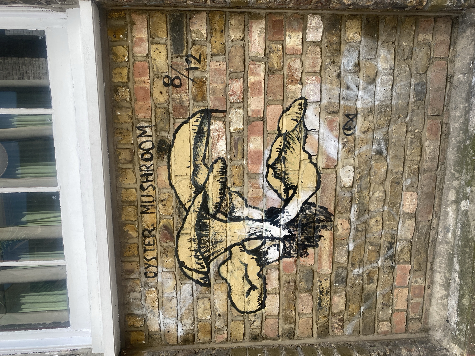 The image displays a colorful graffiti artwork on a weathered brick wall, likely part of an exterior building facade in London, United Kingdom. The main subject of the graffiti is a stylized depiction of an oyster mushroom, rendered in black outlines with a yellowish-tan fill. The mushroom appears to sprout from a dark, undefined base.
To the left of the artwork, a white-framed window is partially visible, suggesting the graffiti is painted beside a building opening. The window shows reflections of the surroundings and glimpses of green interior blinds or curtains.
Several notable details are present:
* Above the mushroom, the phrase "OYSTER MUSHROOM" is written vertically in black block letters.
* A numerical inscription "8/12" is visible above and slightly to the left of the mushroom artwork.
* To the right of the mushroom, there is a small, indistinct black mark or symbol, possibly an artist's signature or logo.
* The brick wall itself is composed of varying shades of yellow, red, and brown bricks, showing signs of age, weathering, and some white paint or residue stains. The mortar between the bricks is also visible and somewhat worn.
The lighting suggests it is daytime, with clear visibility. The overall scene captures urban street art integrated into an older architectural setting.