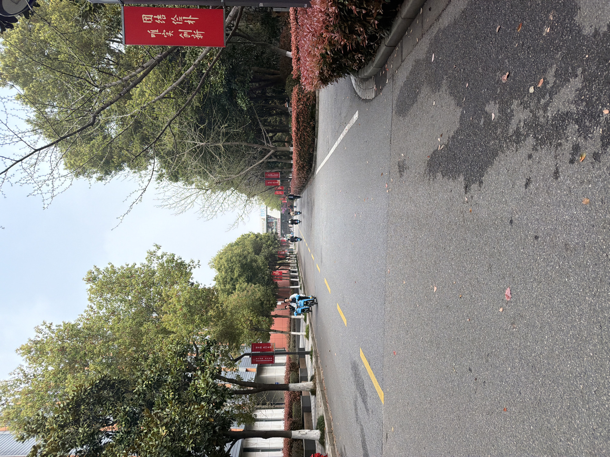 A paved street in Jiangning District, China, is lined with trees and shrubs on either side. Red banners with Chinese characters hang from the trees. Pedestrians and several electric scooters are present on the street. Yellow lines mark the lanes on the road. The sky is overcast. Some areas of the road appear wet. Buildings are visible along the side of the street.