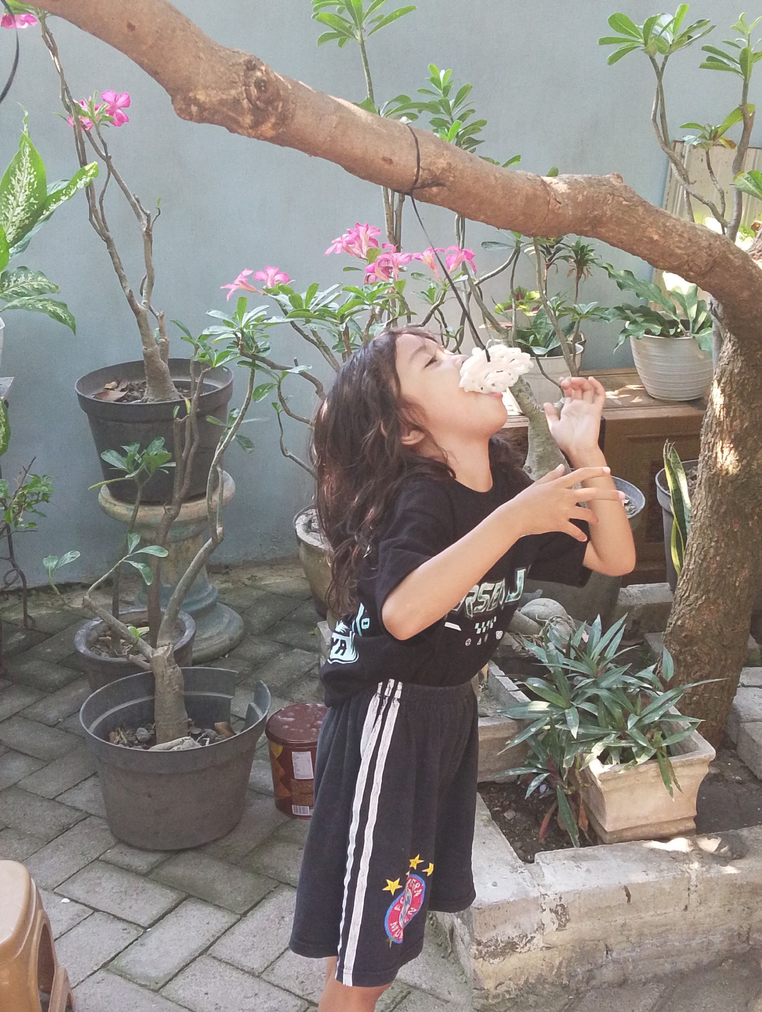 A young child with dark, wavy hair is outdoors in what appears to be a garden or courtyard in Glanggang, Indonesia. The child is wearing a black t-shirt with white lettering and black shorts with white stripes down the sides and patches with stars and a shield design. The child is actively engaged in eating a piece of white, puffy snack food that is suspended from a thin string attached to a tree branch. The child's head is tilted back, and their mouth is open as they bite into the snack. The surrounding environment features potted plants with green leaves and some small pink flowers. A thick, textured tree trunk dominates the right side of the frame, with a branch extending across the top. The ground is paved with grey interlocking bricks. In the background, there are more potted plants and a light blue wall. Several clay pots of varying sizes are visible, along with a brown cylindrical container. The lighting suggests it is daytime.