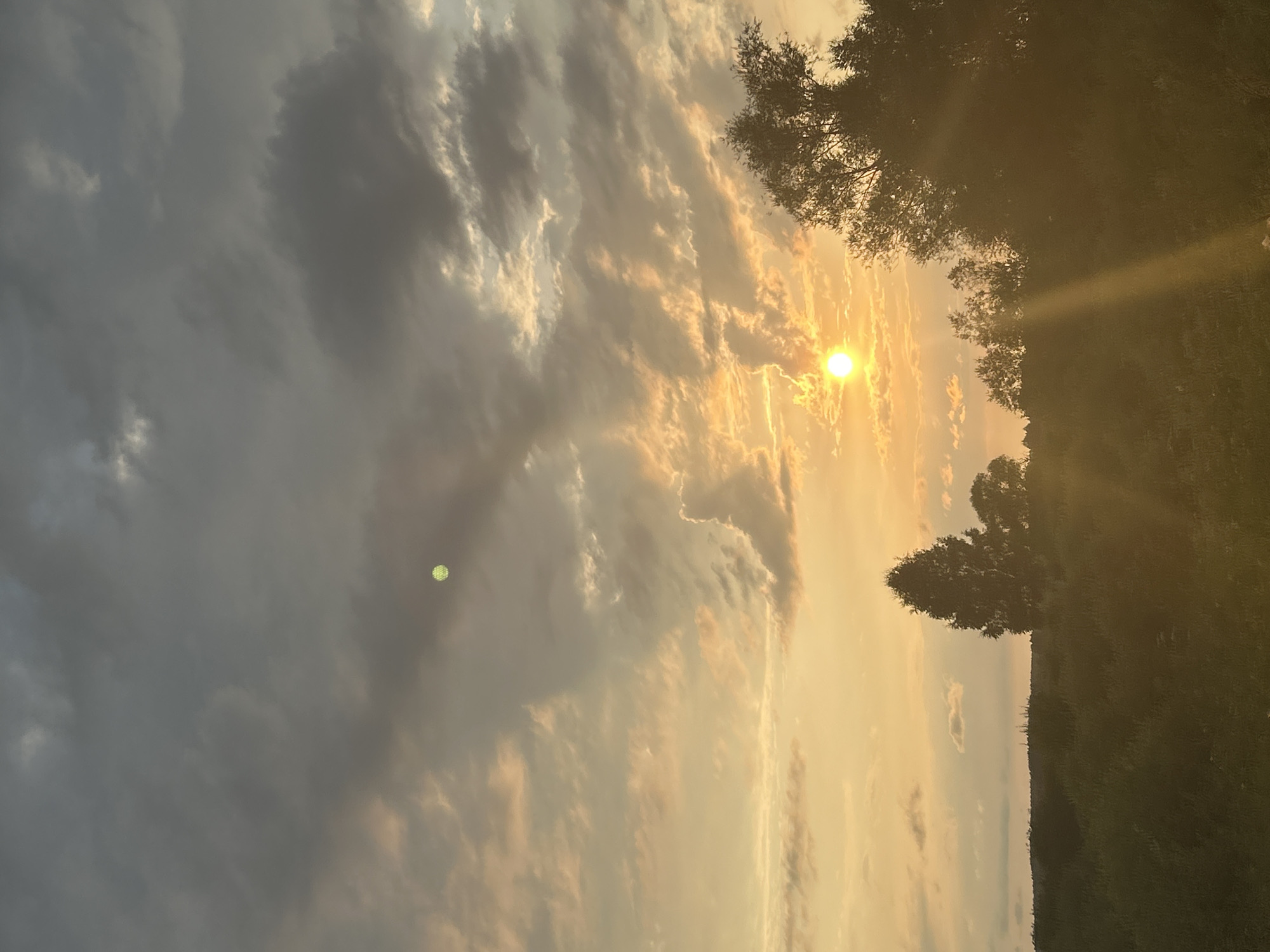 The image depicts a sunset over a rural landscape, likely near Kalitsino, Russia. The sky is filled with dramatic clouds, ranging from dark gray to lighter hues illuminated by the setting sun. The sun itself is a bright orb, casting golden rays that pierce through the clouds and illuminate the scene below. In the foreground, a dense field of vegetation, appearing as a dark mass of green and brown, stretches across the lower portion of the image. Silhouettes of trees rise above the field, with a particularly prominent, large tree on the right side of the frame. A faint, circular object, possibly a lens flare or a distant light source, is visible in the upper left quadrant of the sky. The overall atmosphere is one of natural beauty and twilight tranquility.