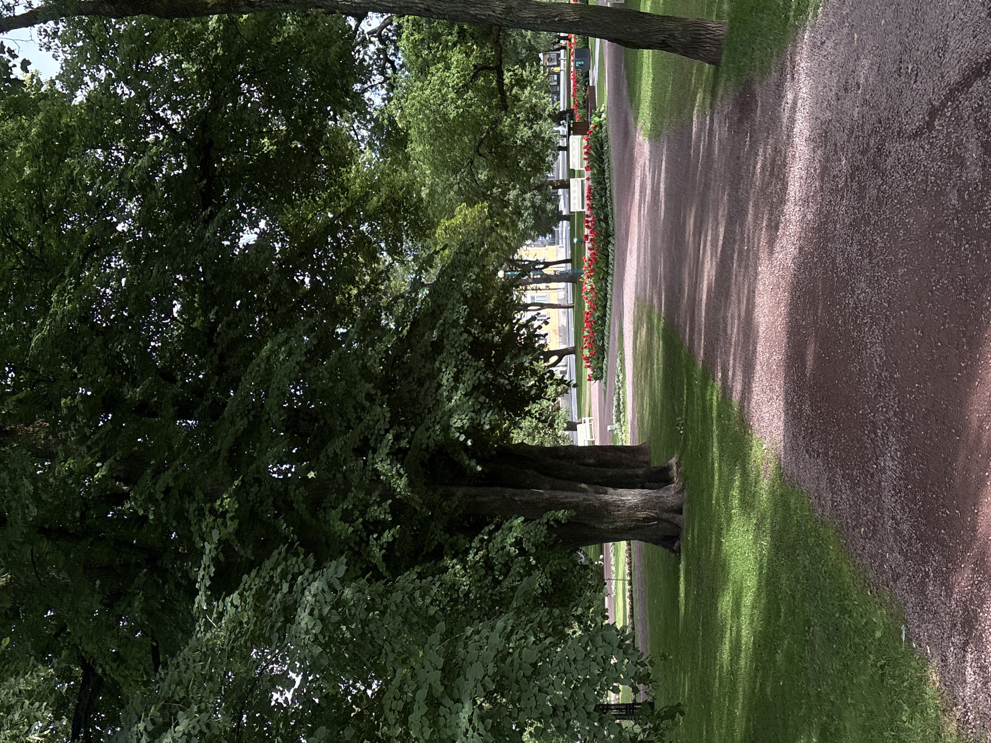 The image depicts a park scene in Pori, Finland, specifically the Esplanadi park. A gravel path, shaded by large trees, dominates the foreground and leads into the distance. To the left of the path, a lush green lawn is visible, with the dense foliage of mature trees creating a canopy. In the middle ground, a flower bed filled with vibrant red flowers borders the path. Beyond the flower bed, two white park benches are situated on the lawn, suggesting a public recreational space. Further in the background, the facade of a light yellow building is partially visible, hinting at urban surroundings. The overall impression is one of a serene and well-maintained urban park.