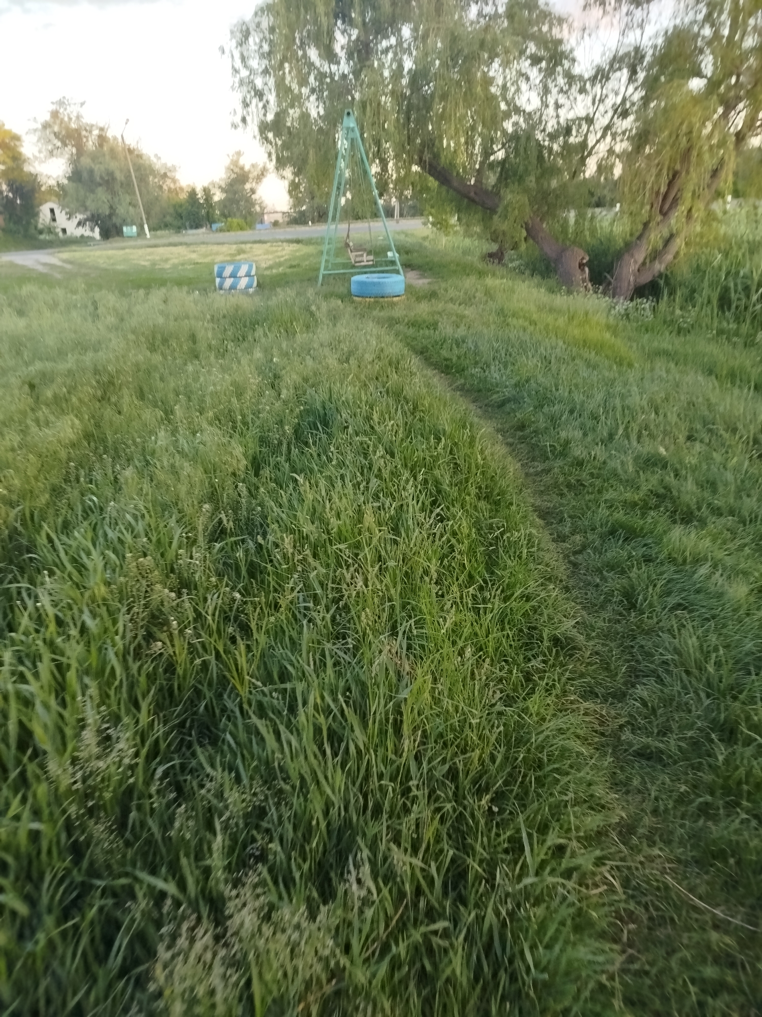 The image depicts an expansive outdoor scene, primarily composed of a vibrant green field of tall grass under a bright, hazy sky. The perspective is low, looking across the field.
In the foreground, a winding, well-trodden dirt path snakes through the dense grass from the bottom right corner towards the mid-center of the image. The grass itself is varied, with some areas appearing taller and wilder, hinting at an unmaintained or natural environment.
Towards the midground, a light green metal swing set with a single wooden swing stands prominently to the left of the frame's center. Adjacent to the swing set, a single blue painted tire is partially visible, while further left, two tires are stacked, painted with alternating blue and white diagonal stripes. To the right, a large tree with thick, heavy branches and abundant green leaves dominates the midground. Its trunk is gnarled, and the tree leans significantly, extending its canopy over the grassy area.
The background shows a more distant landscape under the bright sky. What appears to be an unpaved road or dirt track curves through the scene. Beyond this, scattered trees and faint structures, including a partially visible white building, are discernible in the distance. A tall light pole can be faintly seen towards the upper left in the background.
The lighting suggests either late afternoon or early morning, with a soft, diffused light across the landscape. The atmosphere appears tranquil and natural. There are no people visible, nor is any discernible text present in the image. The setting appears to be a rural or semi-rural open space, possibly an informal park or a field near a community area.