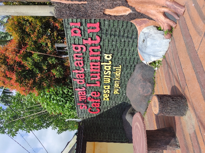 The image shows the exterior of a cafe in Kecamatan Pujon, Indonesia, located at latitude -7.855 and longitude 112.455. The cafe is called "Cafe Lumintu" and is located in the "desa wisata Pujon Kidul." The cafe is situated in a landscaped area with a wooden table and two tree stump stools, and a green wall with a large, stylized wooden tree sculpture. The wall is decorated with a sign that reads "Selamat Datang di Cafe Lumintu Desa Wisata Pujon Kidul," written in red and yellow letters. Lush greenery surrounds the cafe, including tall trees with red leaves. A wooden building is visible in the background. The scene is bathed in sunlight, suggesting a pleasant outdoor environment. The cafe's signage and decor suggest a focus on nature and tourism.