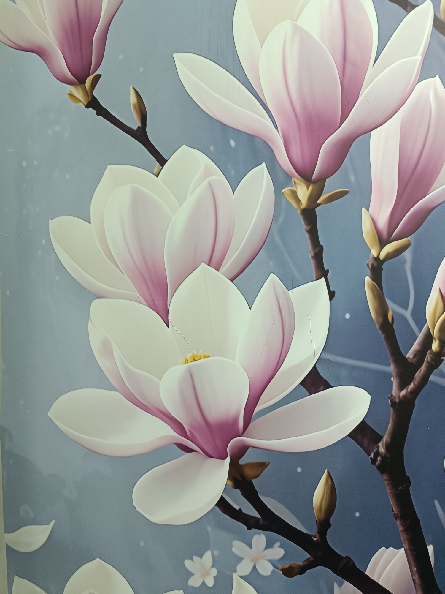 The image displays a close-up view of several large, white and pink magnolia flowers in full bloom, as well as some buds. The flowers are depicted on dark brown branches against a muted blue background with subtle white speckles, suggesting a soft, atmospheric setting. The petals of the flowers are soft and delicate, with a gradient of pink towards the center. The branches are bare, highlighting the blossoms. There are no people or visible signs of urban or rural environments, suggesting the image is of a decorative artwork, possibly a mural or wallpaper, rather than a photograph taken in a specific location like Бәйдібек би ауылы, Kazakhstan.