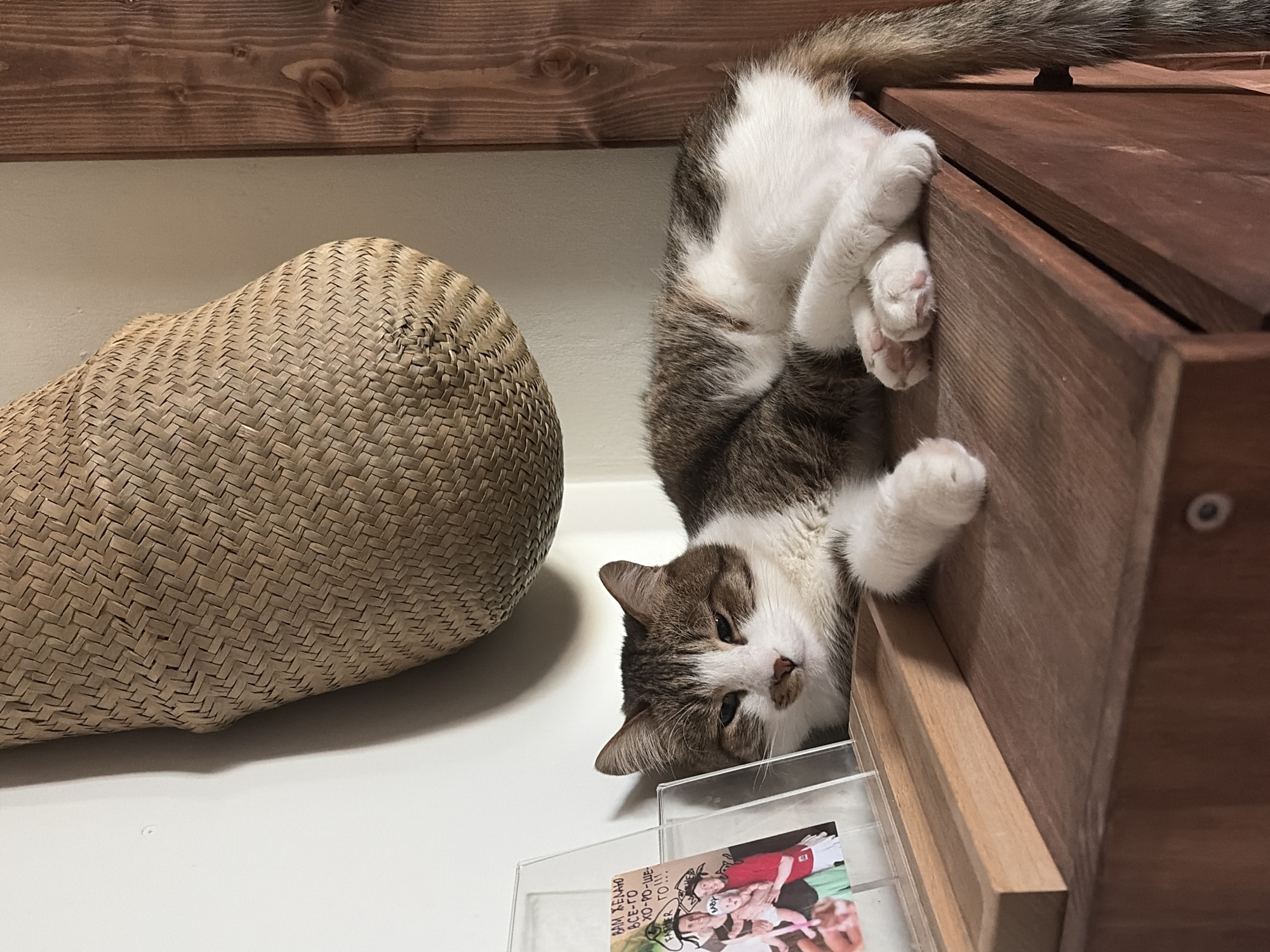 The scene depicts an indoor setting, likely in a residence within the city of Chaikovsky, Russia, though specific location details are not discernible from the image.
A domestic cat with brown and white tabby markings is resting on a polished, dark brown wooden surface, possibly a cabinet or shelf, which occupies the lower half of the frame. The cat lies on its side, facing slightly left, with its front paws tucked and its hind paws visible, one resting on the other. Its eyes are partially closed, indicating relaxation or drowsiness. Its face features a small pink nose and white fur around the muzzle, extending to its chest and paws. The tail, striped with brown and white, extends towards the right edge of the frame.
To the left of the cat's head, a clear acrylic or glass photo frame stands on a small, light wooden tray. The frame holds a color photograph of at least three people, including an adult male, an adult female, and a child, who appear to be posing. Above the photo, some Cyrillic text is visible, partially reading "ВАМ ЖЕЛАЮ ВСЕГО ХОРО-ШЕГО!!!".
Above the cat and photo frame, a large, woven natural fiber basket, possibly straw or wicker, hangs against a white wall. The basket features a distinct diagonal weaving pattern and casts a shadow on the wall behind it, indicating a light source from the left. To the far right of the image, a vertical panel of light brown wood with visible grain patterns is present. No people are directly visible in the immediate scene, only in the photograph. The overall environment suggests a comfortably lit, domestic space.
