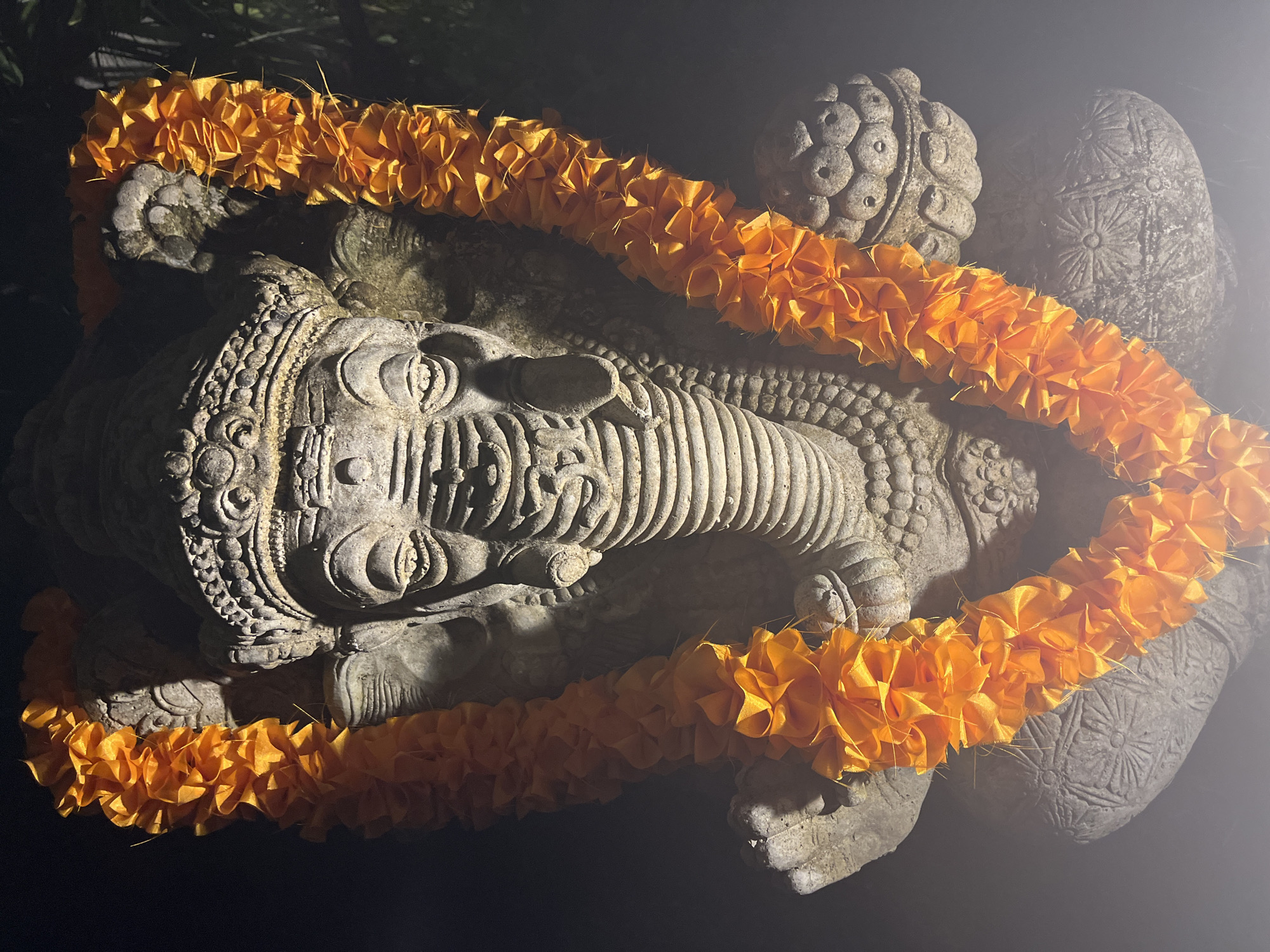 This media file presents a close-up, top-down view of a stone statue depicting the Hindu deity Ganesha in a reclining or lying down posture. The statue is carved from weathered, light-colored stone, featuring intricate details common in Balinese or Indonesian Hindu art, such as Ganesha's elephant head, trunk curled to his right, and patterned ornamentation on his body.
A bright orange garland, composed of artificial marigold-like flowers, is draped gracefully across the statue, encircling its shoulders and extending along its body, creating a striking visual contrast against the muted tones of the stone.
The scene is captured at night or in very low light, with a strong, focused light source illuminating the statue from the upper left, casting dramatic shadows that emphasize the texture and depth of the carving. A soft, ethereal glow or lens flare is visible, particularly on the right side of the image. The background is dark, with indistinct dark green foliage visible in the upper left, suggesting an outdoor setting.
The presence of the garland indicates an act of worship, offering, or adornment, signifying devotion. Given the context of Nusa Penida, Indonesia, this statue likely resides within a Hindu temple, shrine, or spiritual garden, serving as a revered cultural and religious object. The image conveys a sense of tranquility and spiritual reverence. There is no visible text.