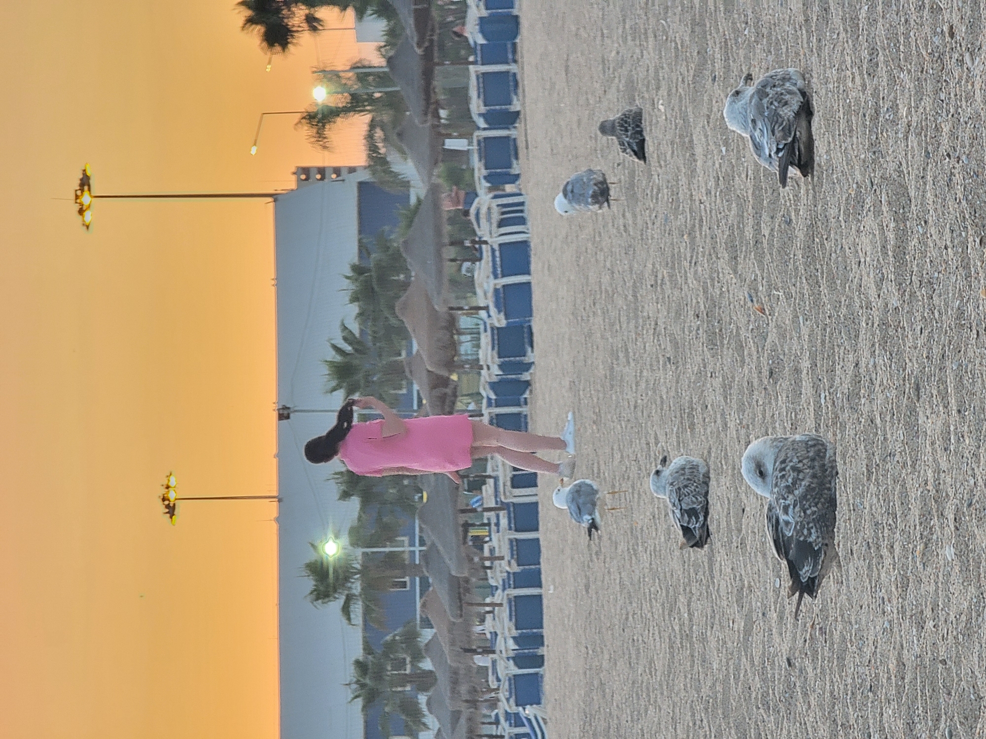 The image shows a beach scene at sunset in Quarteira, Portugal. In the foreground, several seagulls are resting on the sandy beach. One seagull stands near the middle ground, facing away from the camera. In the background, a woman in a pink dress is walking away from the camera and towards the sea, with her hand in her hair. Behind her, rows of empty beach chairs and umbrellas are set up. The sky is a vibrant orange and yellow, characteristic of a sunset. Tall light poles with multiple lights are visible in the distance, along with palm trees and buildings.