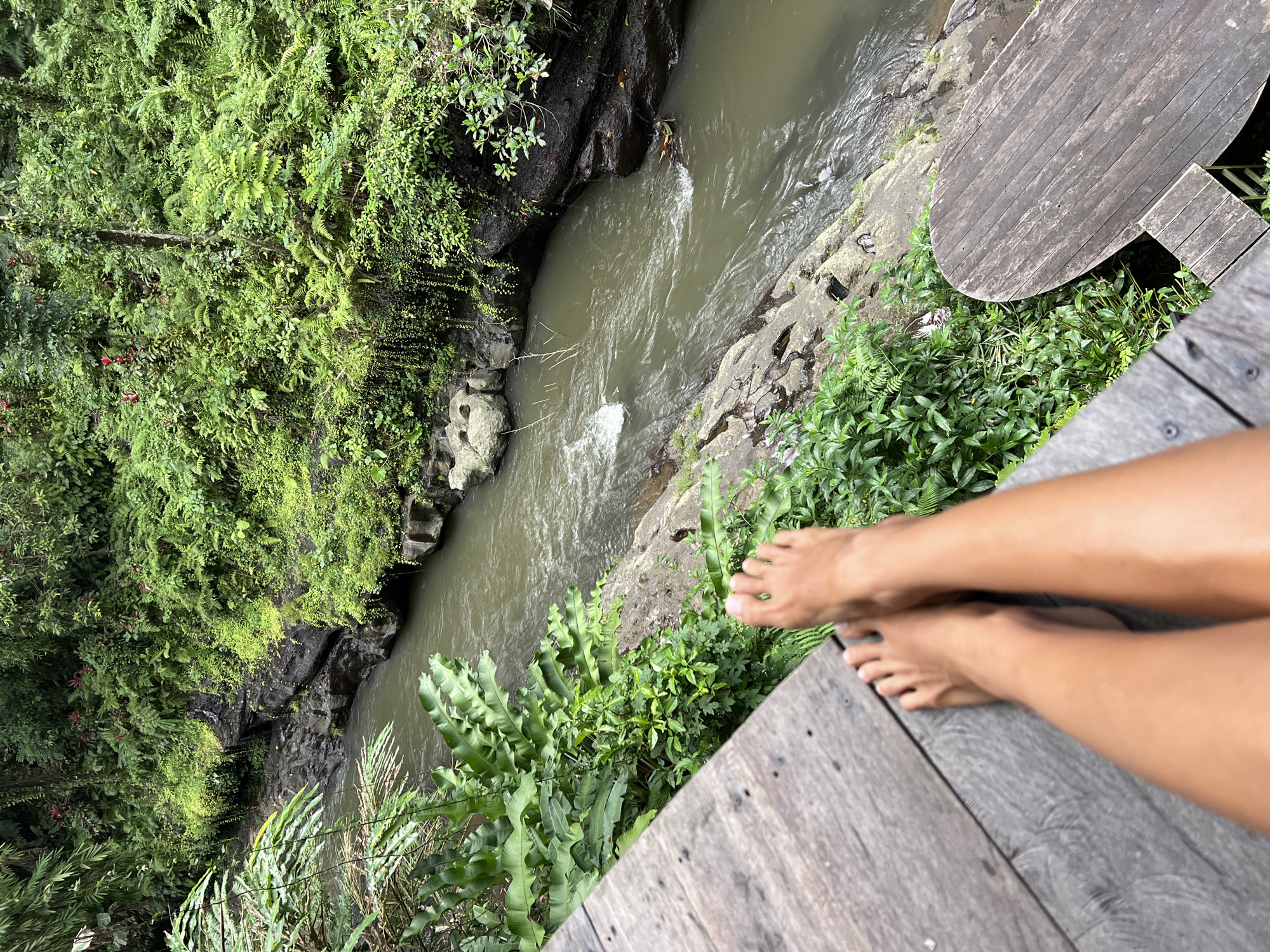 The media file features a person's bare legs and feet resting on a wooden deck that overlooks a lush, jungle-like environment. The scene is dominated by vibrant green foliage, including ferns and other tropical plants, which cascade down a rocky embankment towards a winding river. The river water appears murky and flows briskly, with white foam indicating some rapids.
The perspective is from a high angle, looking down towards the river and the jungle. The wooden deck, made of weathered planks, suggests a man-made structure within the natural setting, possibly a viewpoint or a relaxation area. A portion of a curved wooden surface, possibly a table or a part of the deck structure, is visible on the right side of the frame.
The lighting suggests it is daytime, with diffused light indicating an overcast sky or dappled sunlight filtering through the dense canopy. The overall mood is one of tranquility and immersion in nature, with the person's posture conveying a sense of relaxation and enjoyment of the scenic view.
There is no visible text in the image. The location context provided places this scene in the Ubud District of Indonesia, which is known for its rich natural beauty and cultural attractions.