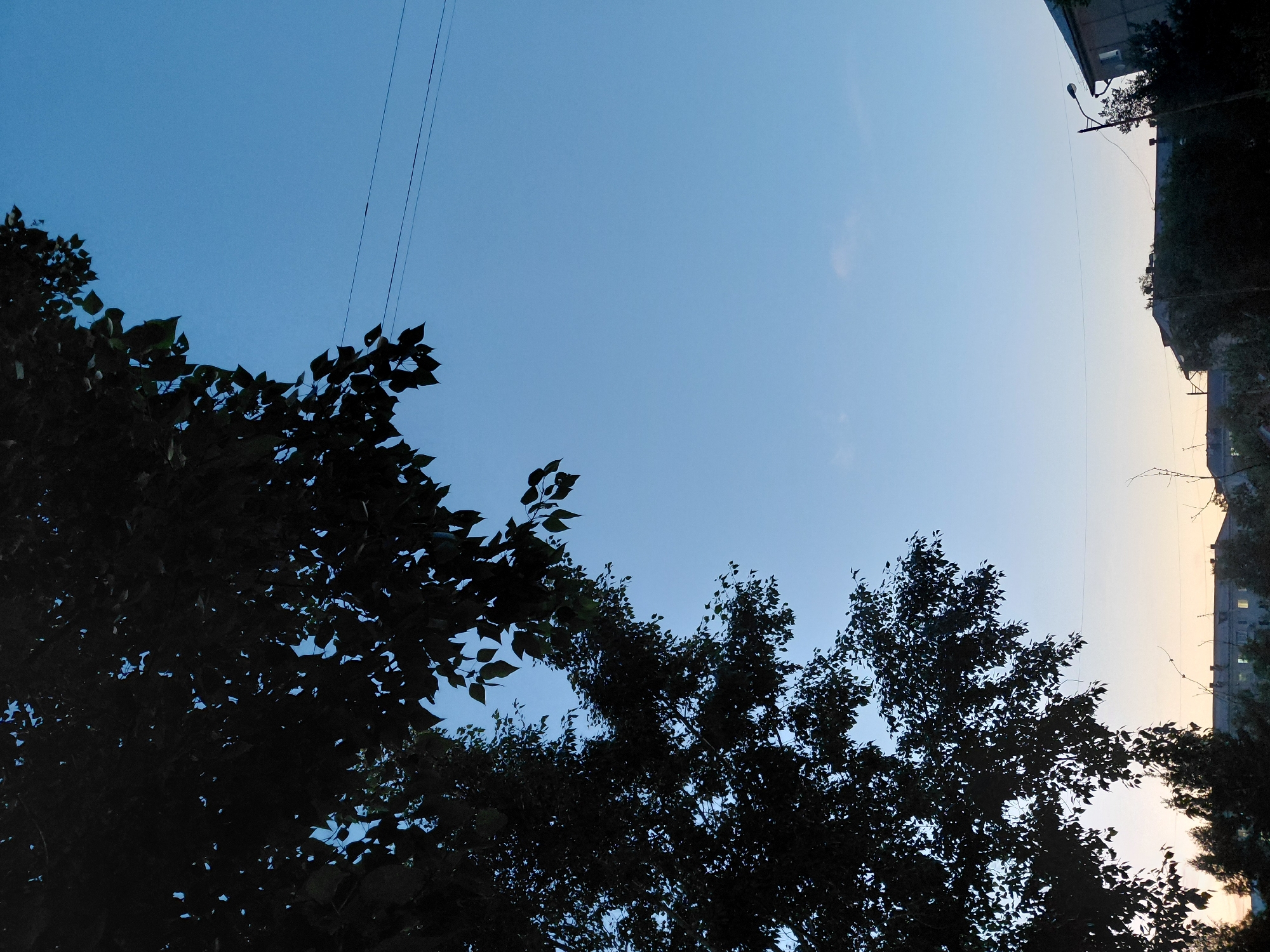 This media file depicts a view looking up at the sky, with silhouettes of trees and the tops of buildings. The sky is a clear, pale blue, transitioning to a lighter, warmer hue near the horizon, suggesting it is either early morning or late evening. A few thin, dark wires are visible against the sky, stretching across the frame, hinting at an urban or suburban setting.
The foreground is dominated by the dark silhouettes of leafy trees, with branches and foliage obscuring parts of the sky. On the right side of the image, the upper sections of buildings are visible, appearing as dark, rectangular structures. One building has windows that are illuminated, suggesting some activity within. A streetlamp is also visible, silhouetted against the sky, further indicating a populated area. The overall impression is of a quiet moment, perhaps twilight, in a city environment. The lighting suggests that the sun is low in the sky, creating long shadows and silhouetted forms. No people are visible in the frame. There is no visible text in the image. The location context of Oskemen, Kazakhstan, is noted, which may imply the architectural style of the buildings and the type of trees seen.