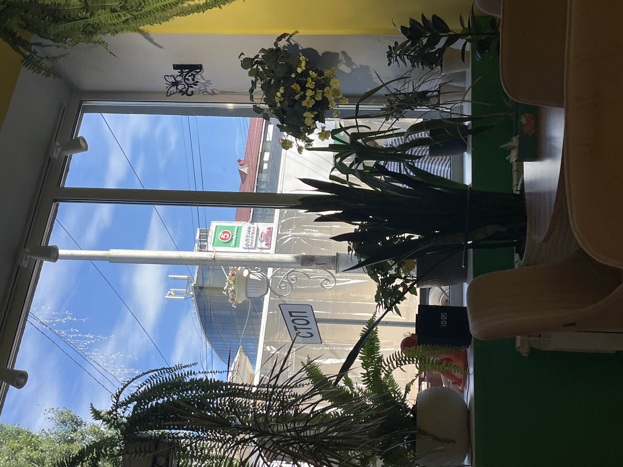 The image shows the interior of a cafe with a large window overlooking a city street in Oktyabrsky, Russia. The cafe features an abundance of indoor plants, including ferns, snake plants, and a hanging plant with yellow flowers, arranged on a windowsill and in pots on the floor. A digital clock on the windowsill displays "10:05". Outside the window, a street sign with the word "СТОП" (STOP) is visible, along with a building with a modern glass facade and a red-tiled roof. The sky is blue with scattered clouds. The cafe has a yellow and green color scheme, and two beige chairs are partially visible in the foreground.