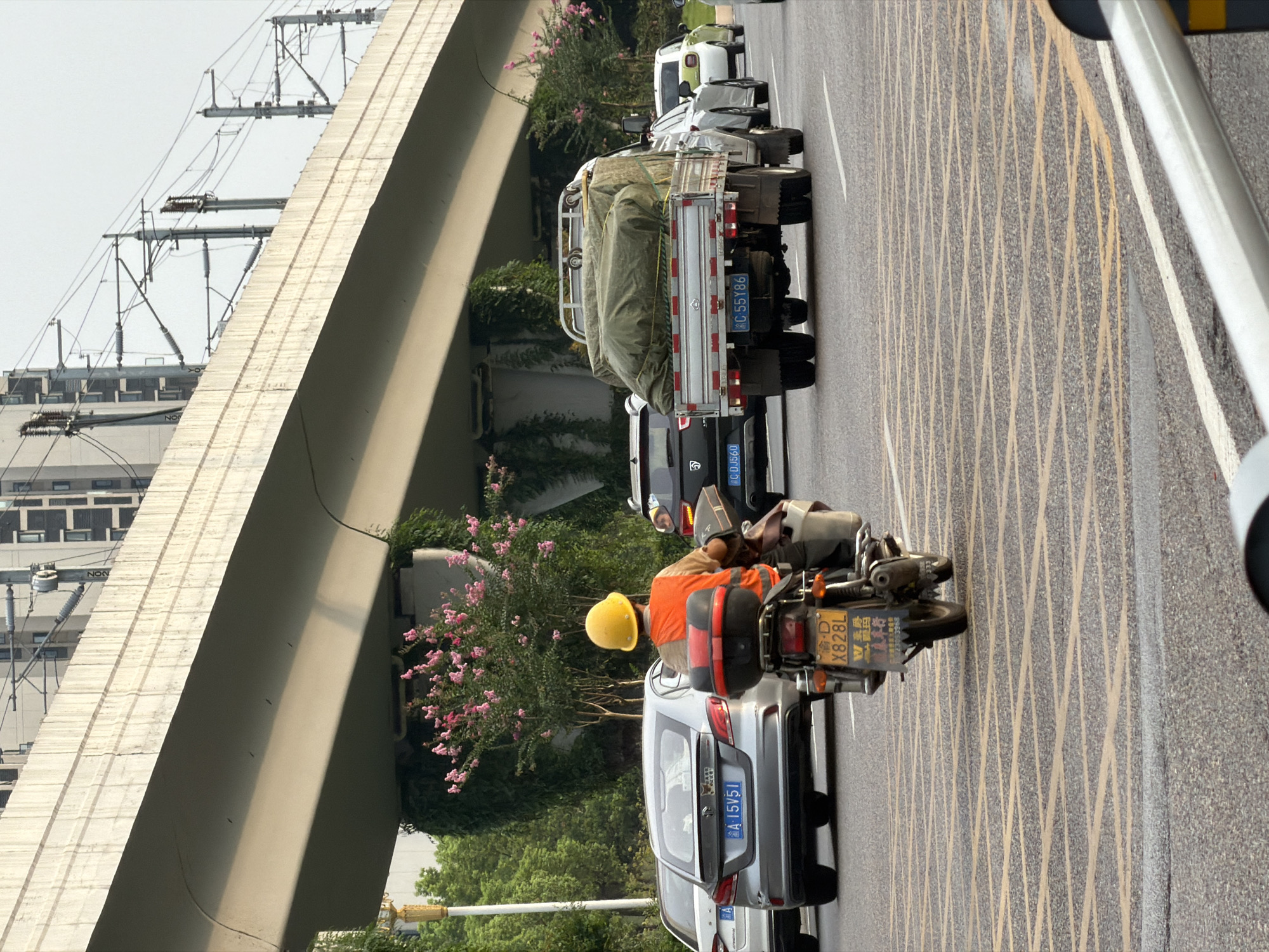 In Jiangjin, China, this scene captures a busy street under an elevated overpass, likely a railway or highway. A person wearing a yellow hard hat and an orange vest rides a motorcycle. They are in the left lane, alongside other vehicles including a silver sedan with license plate "A 15V51," a black SUV with license plate "C DJ560," and a flatbed truck with a tarp-covered load and license plate "C 55Y86." The truck is in the right lane. A light green car is visible further ahead in the right lane. The road surface features a grid of yellow and white lines. Lush green trees and pink flowering bushes line the sides of the road, contrasting with the concrete infrastructure. Overhead power lines for an electric railway are visible. The lighting suggests it is daytime, possibly late afternoon.