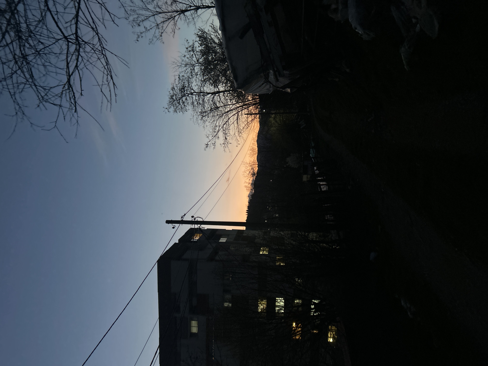 The image captures a view in Zlatograd, Bulgaria, at dusk. A multi-story building with lit windows stands prominently on the left. Overhead power lines run diagonally across the frame. In the background, a sunset paints the horizon with orange and peach hues, silhouetting a tree-covered mountain range. Dark foliage obscures the ground-level view. Bare branches are visible in the upper-left corner.