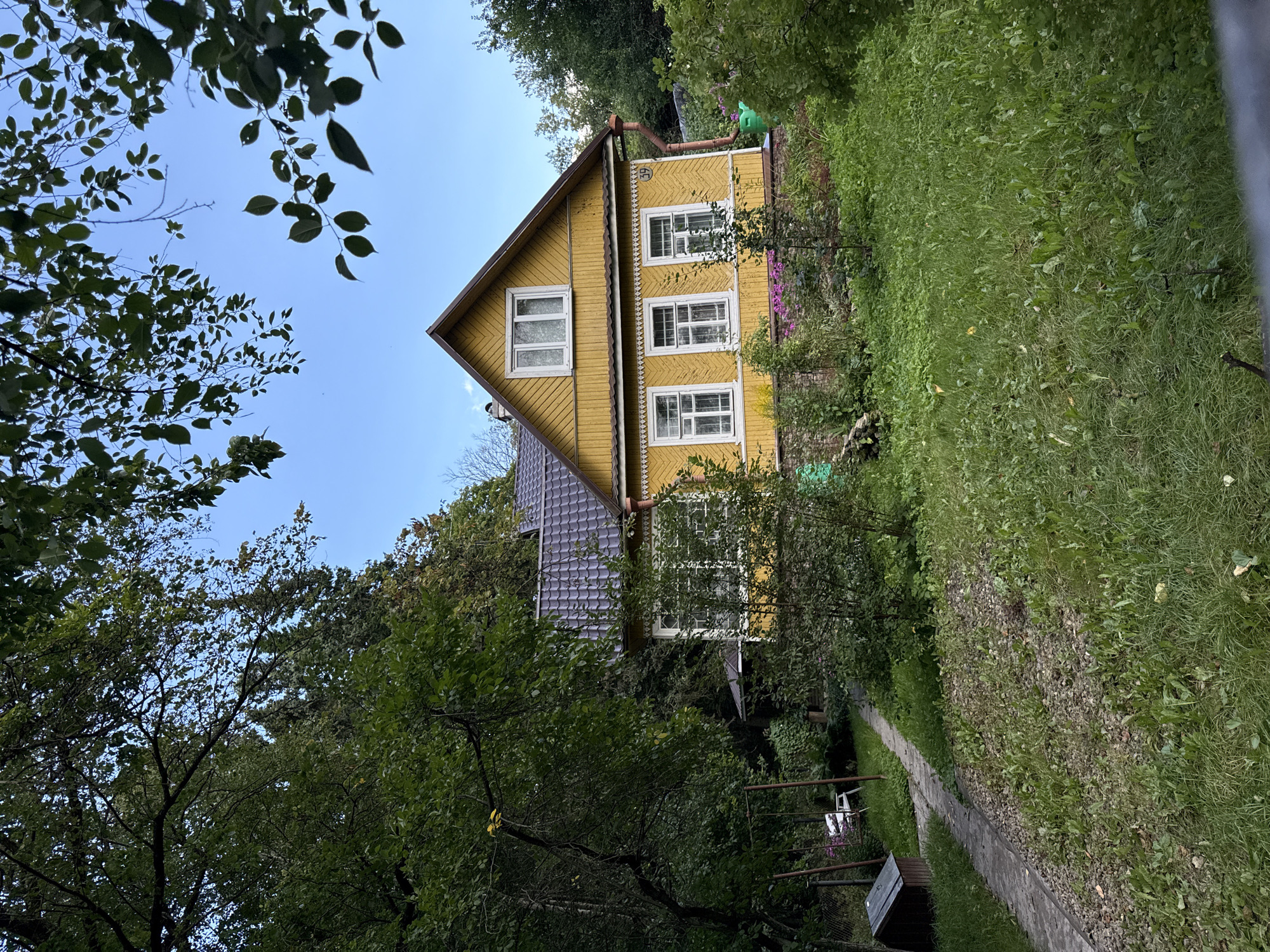 In Krasnoye Selo, Russia, a two-story yellow wooden house with a dark gray tiled roof is nestled among lush green trees and foliage. A concrete pathway leads from the foreground towards the house, past a small, dark wooden structure on the left. The house features white-framed windows, with three on the lower floor and two on the upper floor, and decorative white trim under the eaves. A small brown circular sign with the number "39" is visible on the house's exterior. The yard is covered in green grass and various plants, with some flowering plants near the base of the house. A metal swing set with a white seat stands to the left of the pathway, near some bushes. The sky above is a clear, pale blue, with branches and leaves of trees framing the scene from the top and sides.