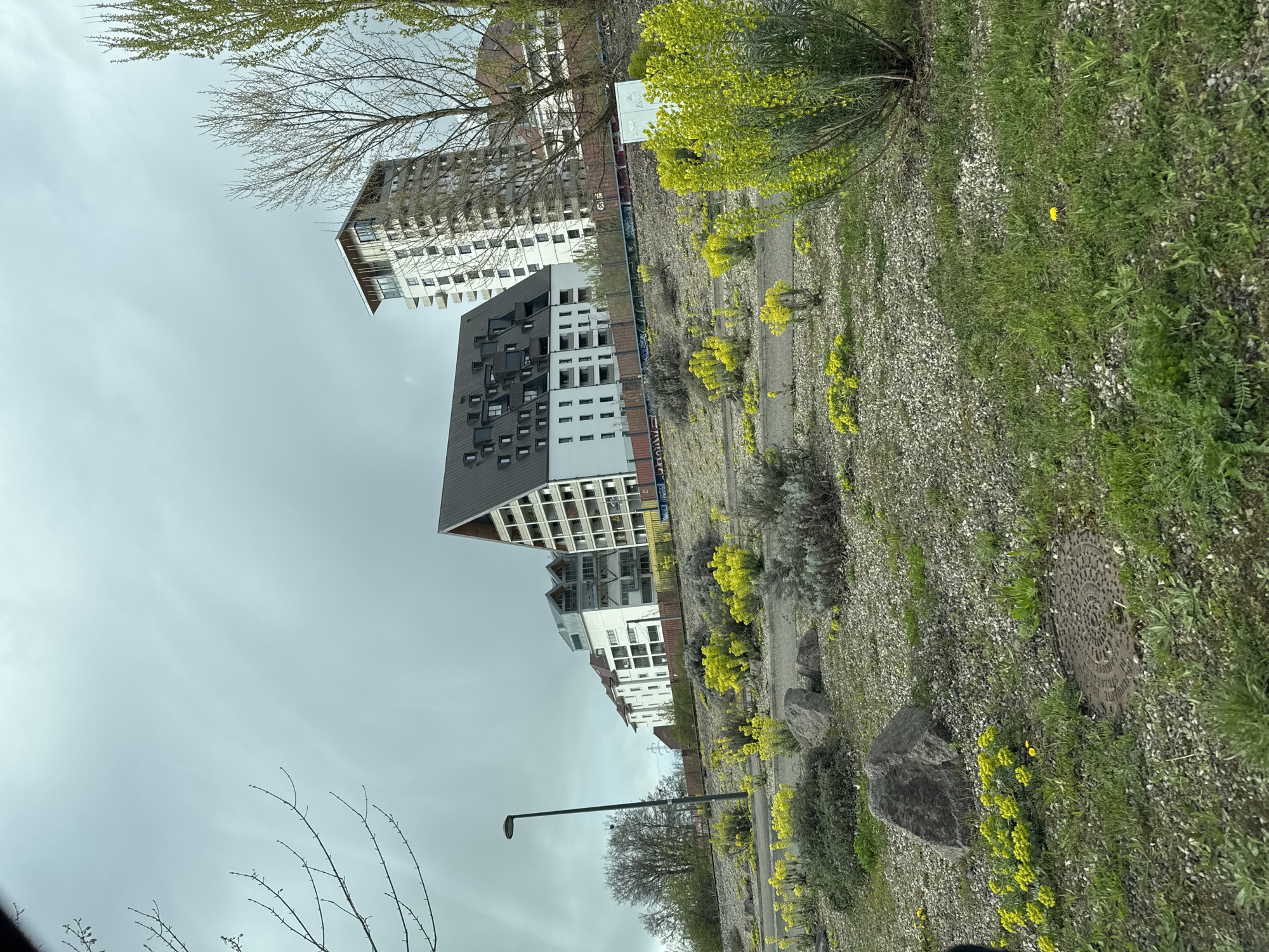 The image shows a view of the Citadelle district in Strasbourg, France, under a cloudy sky. Several modern apartment buildings are visible in the background. In the foreground, there's a strip of land covered in gravel, grass, and patches of yellow flowers. Scattered throughout are rocks and a manhole cover. A street lamp is also present, partially obscured by a tree. The photograph appears to have been taken from a low angle, possibly from a moving vehicle. No people are visible.