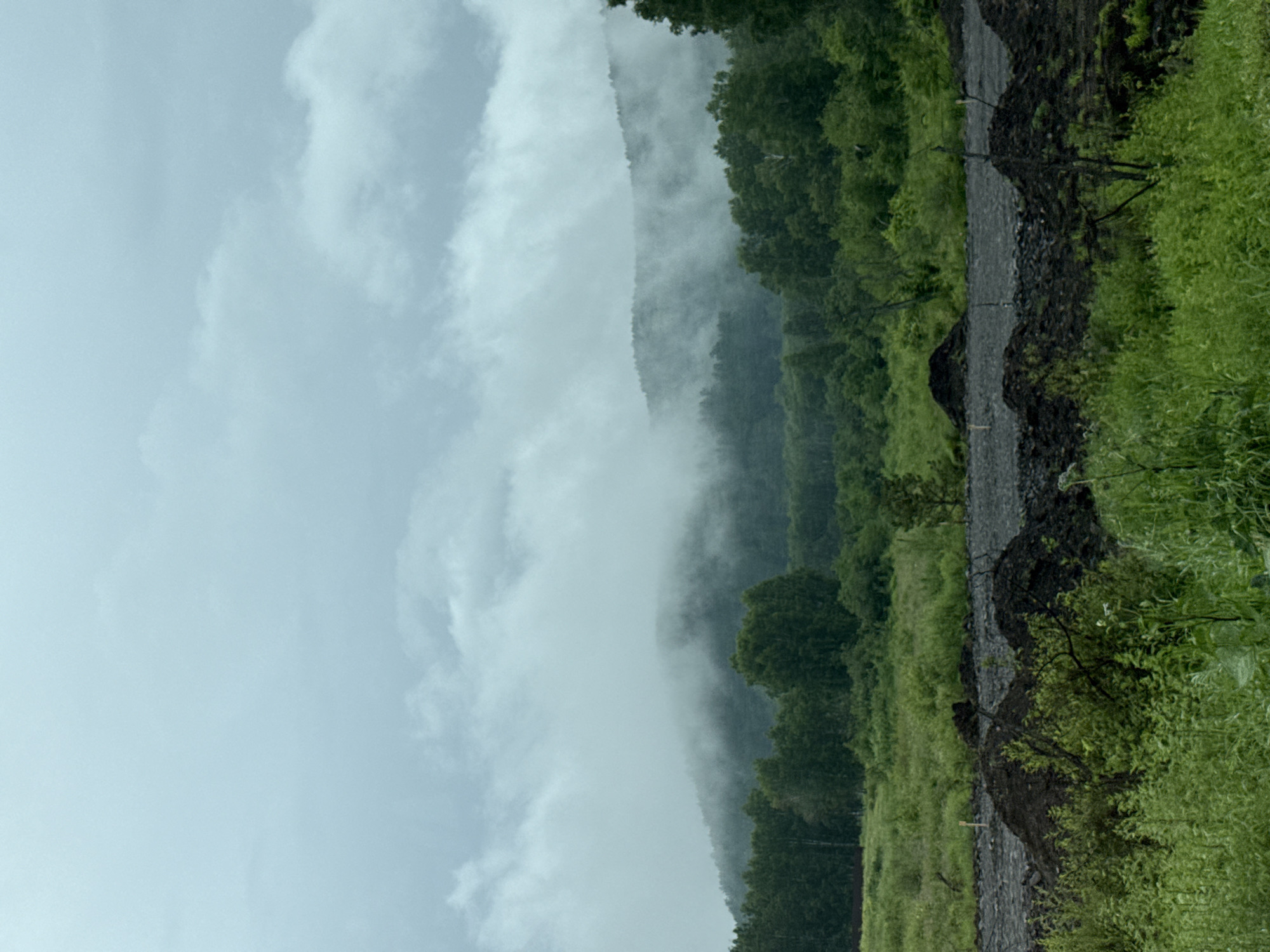 A photograph captures a misty landscape in Nizhniy Atlyan, Russia. The scene is dominated by a dense forest of dark green trees that recede into the distance. A winding path, appearing to be made of gravel or dark soil, cuts through the lush vegetation on the right side of the image. The path is bordered by vibrant green grass and foliage, some of which is slightly blurred, suggesting movement or a close perspective.
The left side of the image is filled with a thick, ethereal mist that partially obscures a steep incline or mountain, also covered in trees. The mist creates a sense of depth and mystery, blurring the lines between the sky and the land. The sky itself is overcast with soft, diffused light, indicating a cloudy or foggy day, likely in the early morning or late afternoon.
There are no people or specific objects clearly visible in the frame, making the focus entirely on the natural scenery. The overall mood conveyed is one of peacefulness and natural beauty, with the mist adding a touch of dramatic atmosphere. The image appears to be taken from a slightly elevated perspective, looking down and across the landscape. No text is visible in the photograph.