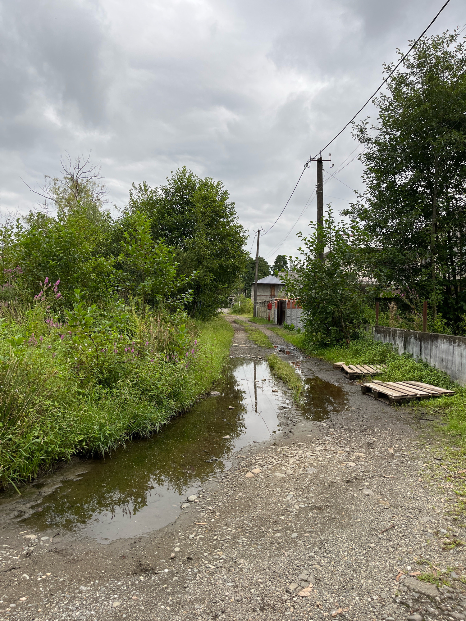 The image depicts a rural or semi-rural unpaved road with a large puddle in the foreground, reflecting the cloudy sky and surrounding vegetation. The road is covered in gravel and dirt. To the left of the road, dense green foliage and some pink wildflowers are visible. To the right, there are two wooden pallets laid on the ground next to a concrete wall and more greenery. In the background, a utility pole with wires stands tall, and several buildings, including one with a red roof, are partially visible behind trees and fences. The overall scene suggests a somewhat neglected or undeveloped area, possibly on the outskirts of a town or village. The location is identified as Ureki, Georgia. There are no people or animals visible in the image, nor any discernible actions or interactions.