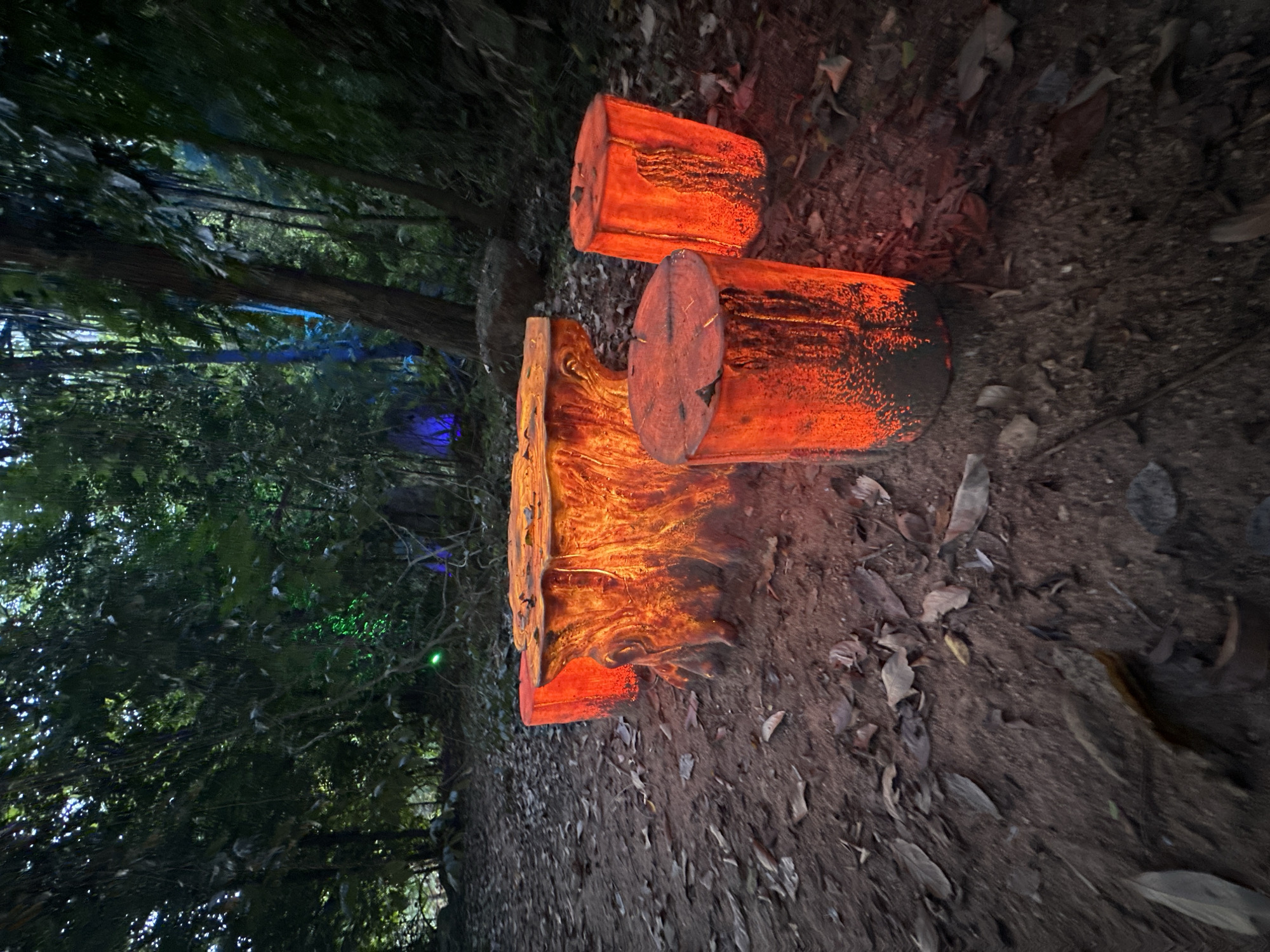 An outdoor scene at night in a forested area of Baan Lipa Noi, Thailand, features a seating arrangement consisting of a table and four stools, all designed to resemble illuminated tree stumps. The central table is a large, hollowed-out stump with a rough, textured surface, glowing with an intense orange and red light from within. Surrounding the table are three cylindrical stools, also made to look like illuminated tree stumps, with similar rough textures and glowing orange-red interiors. The ground around the seating area is covered in dark soil and scattered dry leaves. In the background, the dense foliage of a forest is visible, with trees casting shadows. Faint, colorful lights, appearing as green and blue glows, are present deeper within the woods, suggesting artificial lighting or a light installation. The overall atmosphere is dark and mysterious, with the illuminated stumps serving as the primary focal point. There are no people or animals visible in the image.