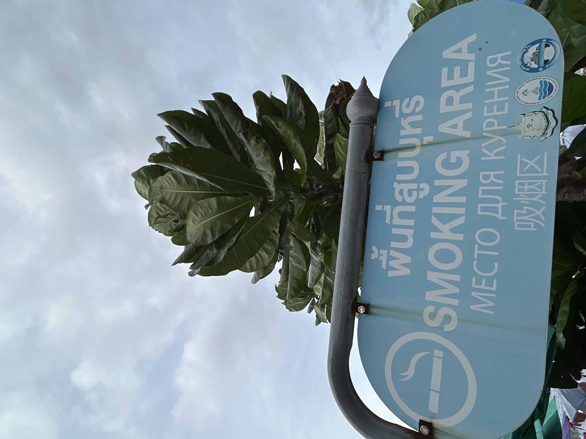 This media file shows a blue sign indicating a smoking area, oriented vertically. The sign is attached to a metal post and is partially obscured by lush green leaves from a tree. The sky above is overcast and cloudy, suggesting it might be daytime, possibly during or after rain.
The sign features a universal "no smoking" symbol within a circle, but it's modified to indicate a designated smoking area. Text on the sign is in multiple languages. English text reads "SMOKING AREA". There are also characters that appear to be Thai script at the top, Russian script reading "для курения" (for smoking), and Chinese characters at the bottom that also indicate a smoking area. Several circular logos or stickers are present on the sign, one of which includes a depiction of marine life and possibly text in Thai. The overall setting appears to be outdoors, likely in a public space given the presence of official signage. There are no people visible in the frame. The environment seems tropical due to the foliage and the context of Tambon Phru Nai, Thailand. The weather appears to be humid and the sky is a uniform grey.