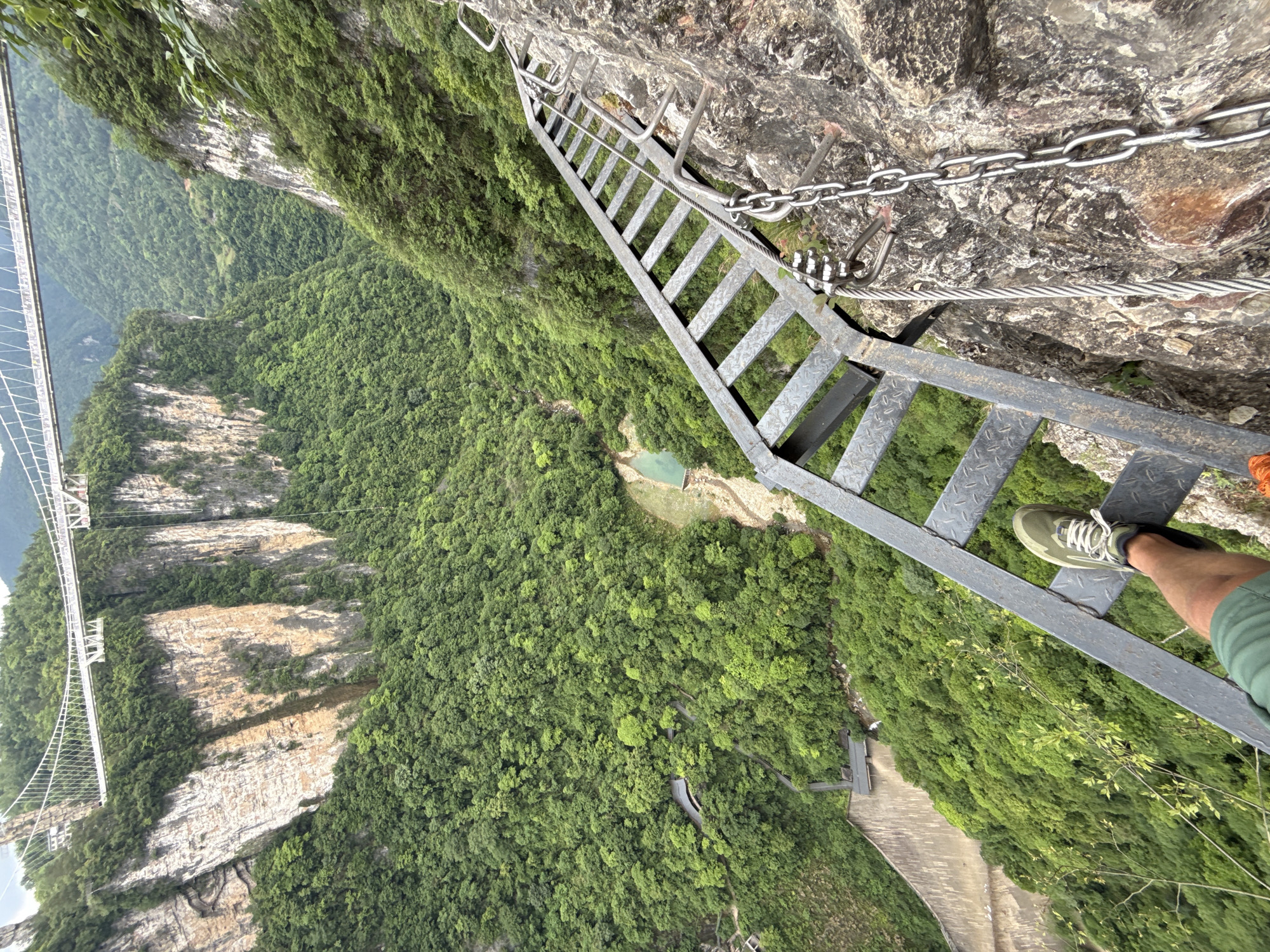 The image presents a high-angle view from a precarious position, likely on a mountain or cliff face in Zhangjiajie, China. A metal ladder, seemingly affixed to the rock face with metal chains and cables, dominates the foreground. The ladder leads down into a vast, green valley densely covered with lush trees and vegetation.
In the lower portion of the image, what appears to be a dam or retaining wall is visible, and further up the valley, a small body of water is noticeable. In the distance, a large, modern suspension bridge stretches across the landscape, connected to the rocky cliffs.
A person's leg, clad in green shorts, is stepping onto one of the ladder rungs. A hiking shoe can be seen, suggesting a recreational activity such as climbing or hiking in this mountainous environment. The scene conveys a sense of height, danger, and a potentially exhilarating experience.