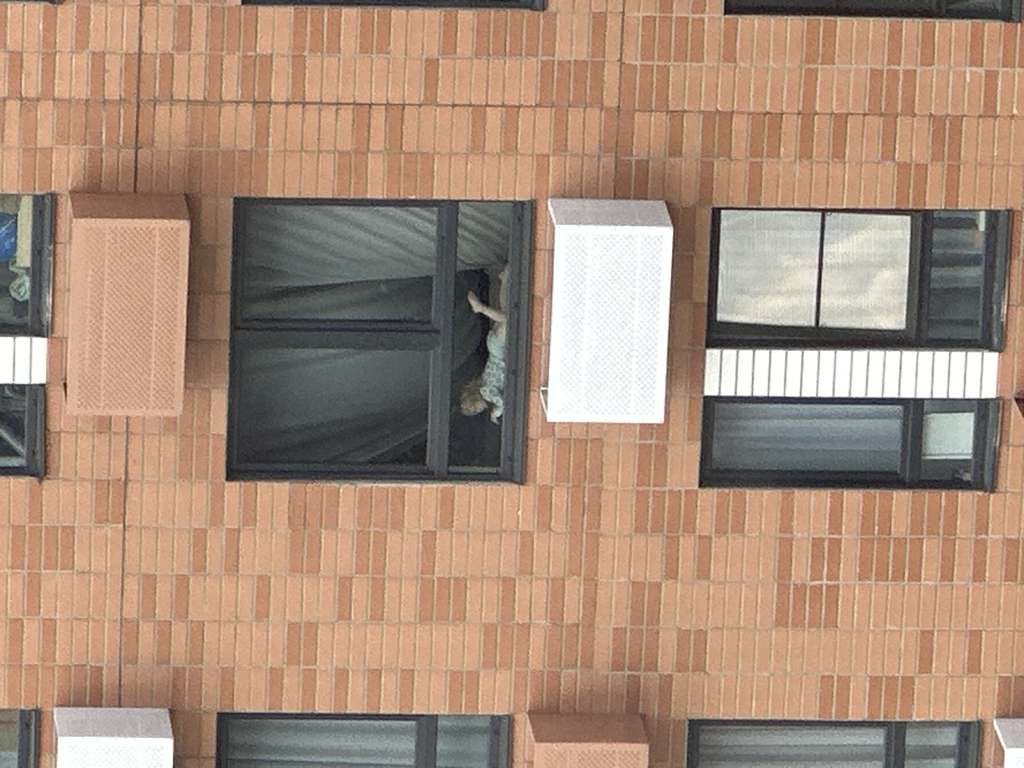 The image shows a multi-story brick building. One open window reveals a person inside the room, with their upper body visible as if they are leaning out. An air conditioning unit is installed next to the window. The location appears to be an apartment building. The location in the city of Lyubertsy, Russia is unknown.