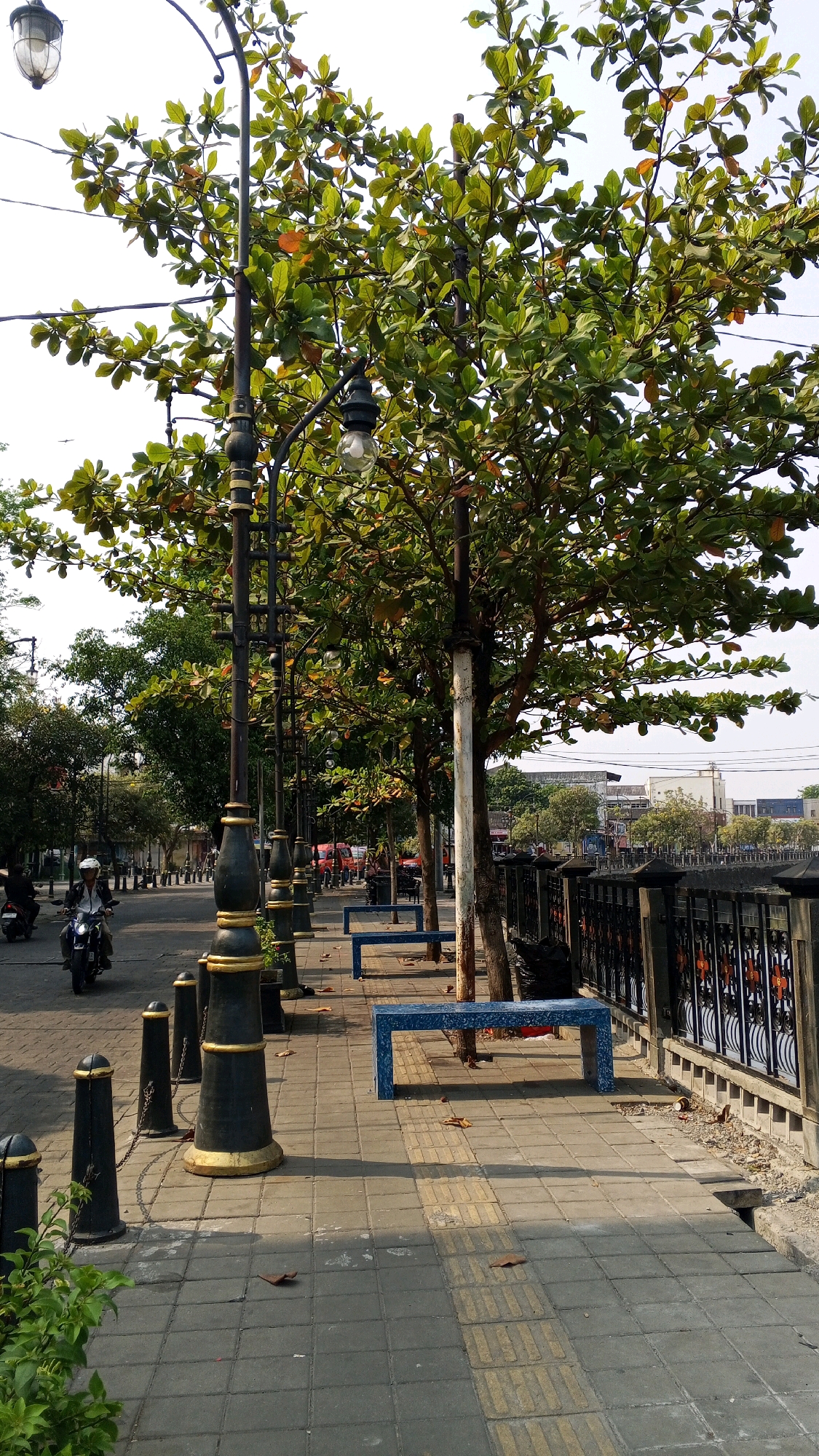 The image captures a street scene in Semarang, Indonesia. A paved walkway lines a road where a motorcyclist is visible. The walkway features decorative lampposts, bollards, and blue benches. Several trees with green foliage are planted along the walkway, casting shadows on the ground. A decorative fence runs along the edge of the walkway, separating it from what appears to be a body of water or a canal. Buildings and more trees are visible in the background. The sky is overcast.