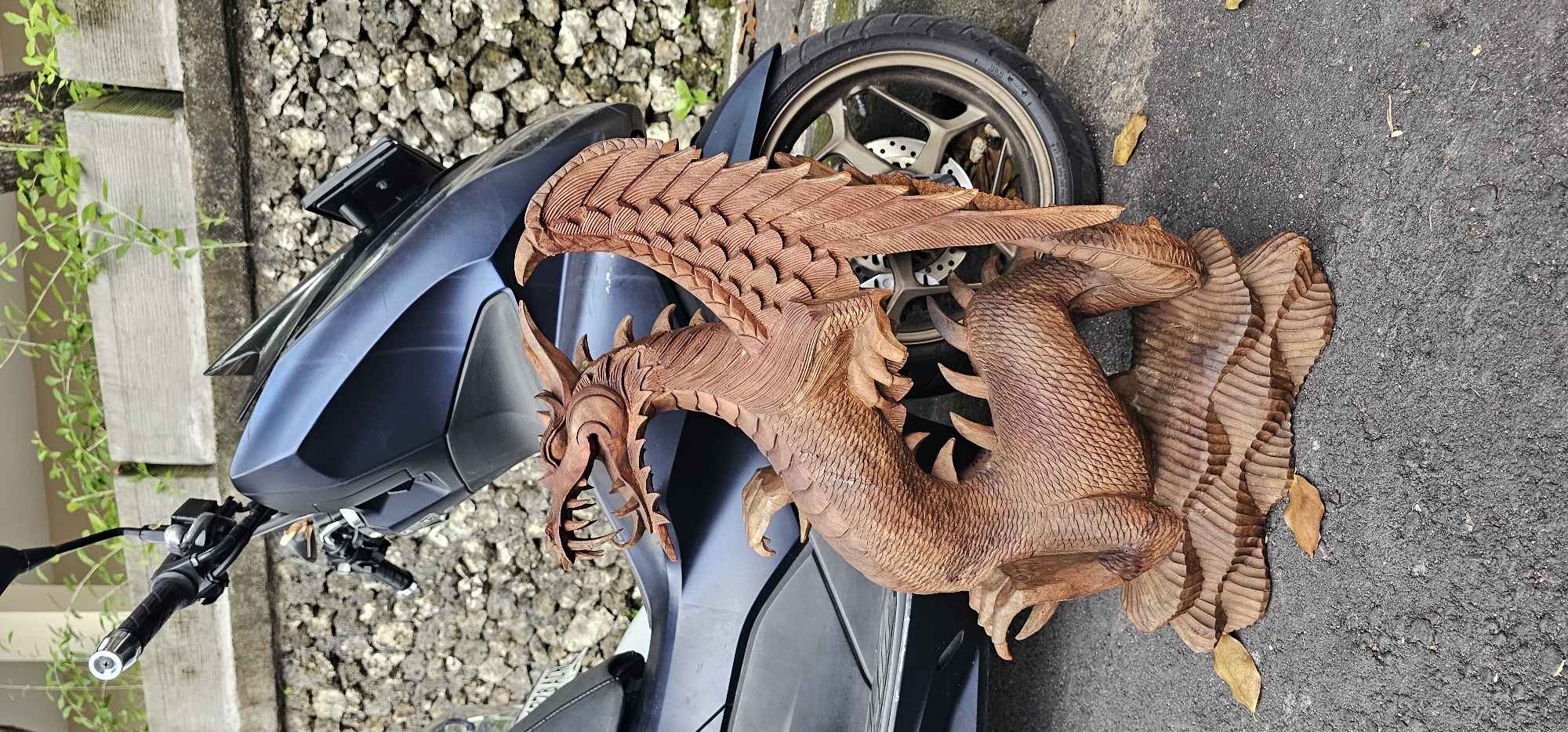 The image displays a detailed wooden sculpture of a mythical creature, resembling a dragon or Garuda, positioned on and beside a dark-colored scooter. The sculpture, crafted from light brown wood, is intricately carved, featuring finely textured scales along its body, layered feathers on its large, outstretched wings, an open mouth with visible teeth, and horns on its head. Its dynamic posture suggests flight or movement.
The scooter, which appears to be dark blue or black, has its front fairing, handlebars, and front wheel (with a gold-colored rim and disc brake) visible. The wooden carving rests partly on the scooter's front, with its lower body and tail extending onto the ground.
The scene is set outdoors during the day, under natural light. The ground beneath the scooter and sculpture is dark asphalt or pavement, with a few dry leaves scattered on it. To the left, a textured concrete wall or barrier is visible, adorned with green foliage, possibly vines or small plants. Additionally, some gravel is present on the ground near the wall. No visible text is present in the image. The elaborate carving style, particularly given the Denpasar, Indonesia location context, points to it being a traditional Balinese artistic creation.