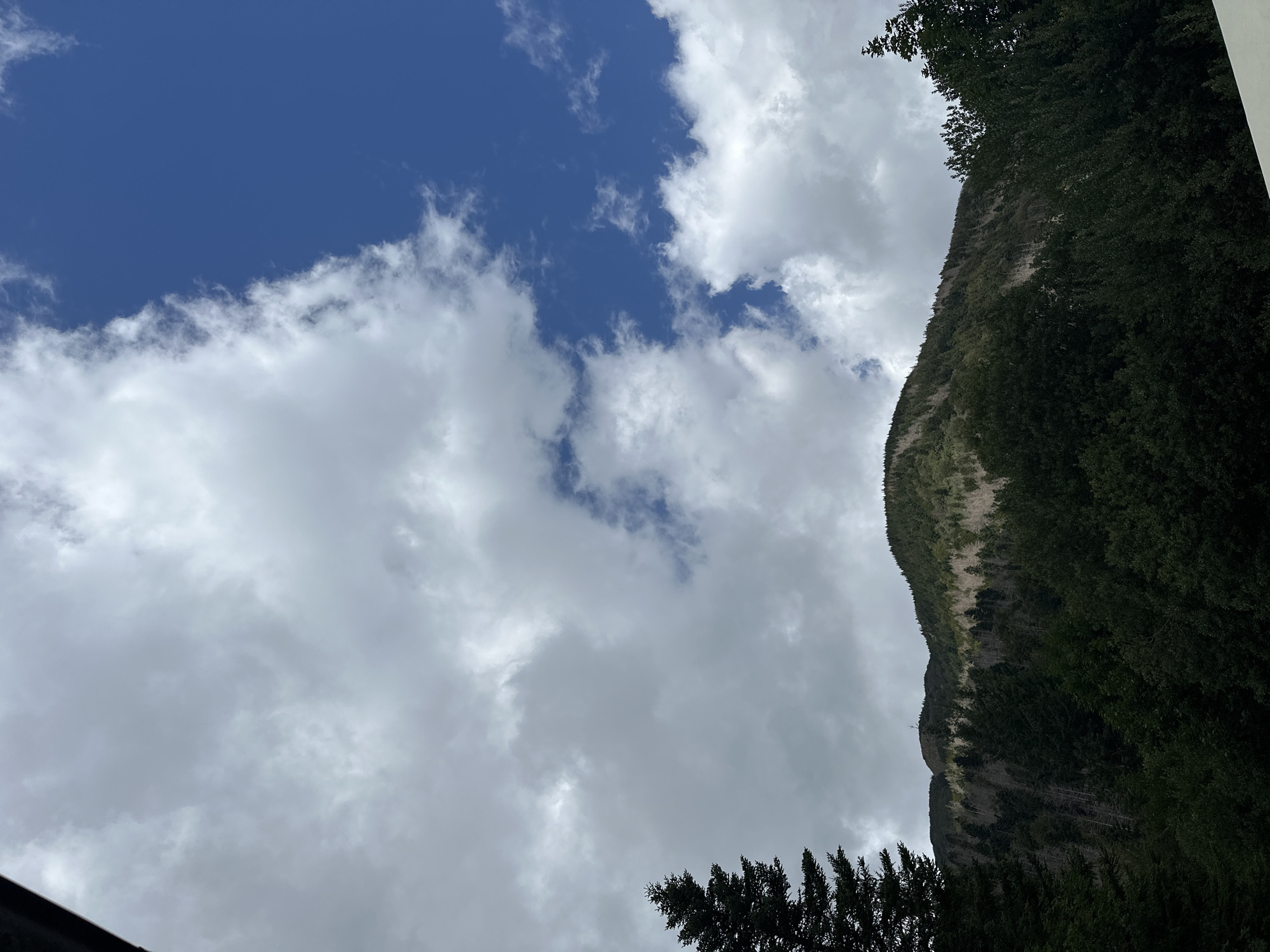The image depicts a mountainous landscape with a partially cloudy blue sky. Dense evergreen trees form a thick forest in the foreground and cover the lower slopes of the mountain. The upper slopes of the mountain show a mix of green vegetation and lighter-colored areas, possibly indicating a change in flora or terrain. A faint mast-like structure is visible on the crest of the mountain. The sky features scattered white and gray clouds, with patches of clear blue visible. The lighting suggests it is daytime, with some areas of the mountain in shadow. The overall scene is natural and undeveloped.