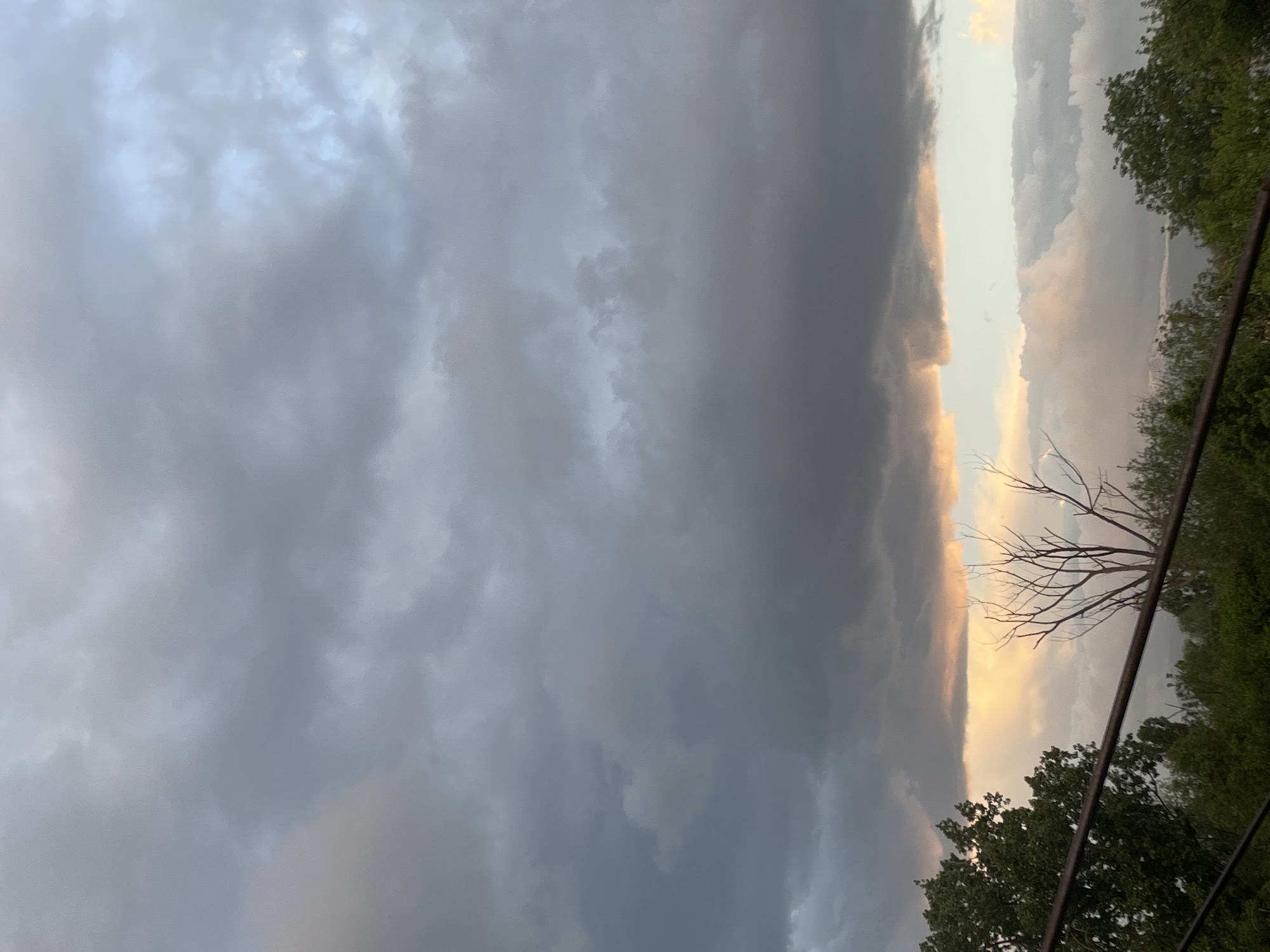 The image shows a cloudy sky with dark gray clouds dominating the left side of the frame. On the right, there is a vertical strip of lighter, almost golden-colored sky, suggesting either sunrise or sunset. Silhouetted trees and bare branches are visible against the brighter sky. A metal railing or wire runs diagonally across the bottom right corner. The image is oriented sideways. There is no indication that this image was taken in Sofia, Bulgaria.