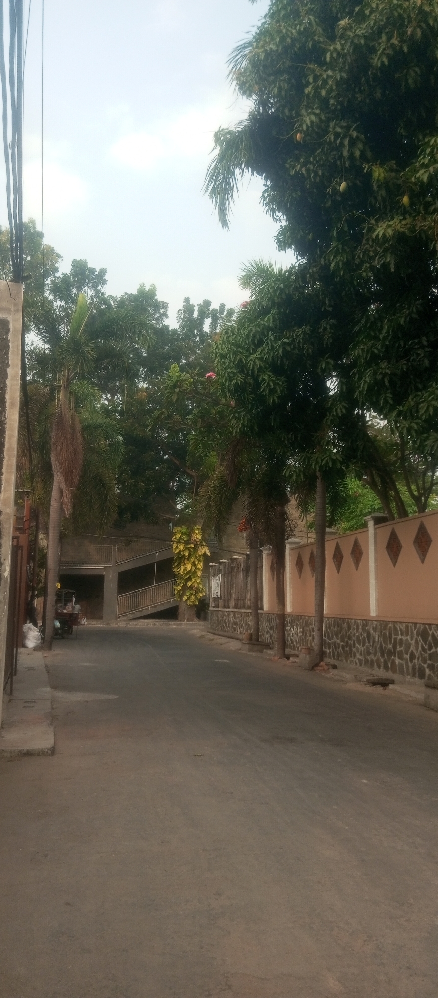 The image depicts a street scene in Kediri City, Indonesia, with lush green trees and a muted sky. The street itself is paved and appears to be moderately trafficked. On the left side of the street, a simple building structure with a raised ramp is visible, suggesting a functional or accessible entrance. Adjacent to this structure, a small cart is parked, potentially indicating a vendor or street food stall. Further down the street, a decorative wall with a textured pattern runs along the right side, separating the road from what appears to be private property or a complex. The wall is a light peach color with darker diamond-shaped accents and a base of rough, dark stones. Several palm trees are planted along the wall, adding to the tropical ambiance. The overall impression is that of a typical urban street in a warm climate, with a blend of residential and possibly commercial elements. The lighting suggests it is daytime, but the sky is overcast, leading to soft shadows.