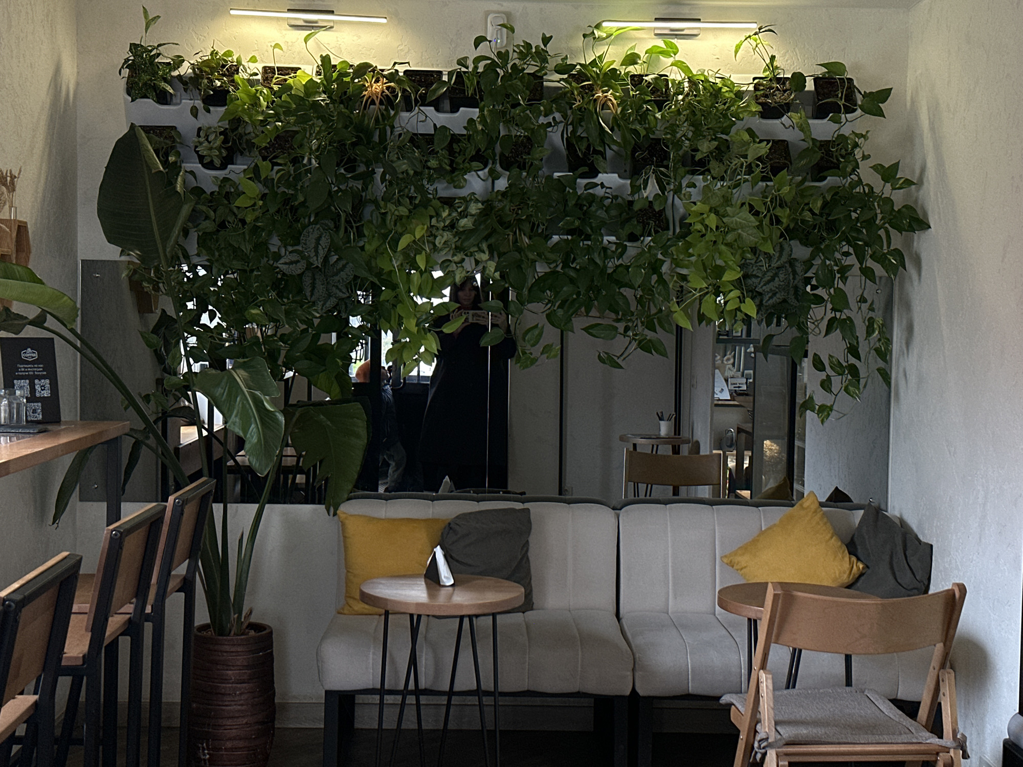 The image depicts the interior of a café or similar establishment in Chaikovsky, Russia. The space is characterized by a focus on plants and a contemporary design aesthetic. Along the back wall, a tiered vertical garden displays a variety of leafy green plants, illuminated by fluorescent lighting fixtures above. A mirror reflects the plants, amplifying the green effect.
In the foreground, a light-colored couch with yellow and gray pillows provides seating. A small round table with a dark metal base is positioned in front of the couch, holding what appears to be a napkin holder. To the left, a tall potted plant with large leaves adds to the botanical theme. A row of bar stools is visible behind the plant, along a counter. To the right, a simple wooden chair with a woven seat faces the couch.
People can be seen in the background, reflected in the mirror, though their actions are unclear. The overall ambiance is relaxed and natural.