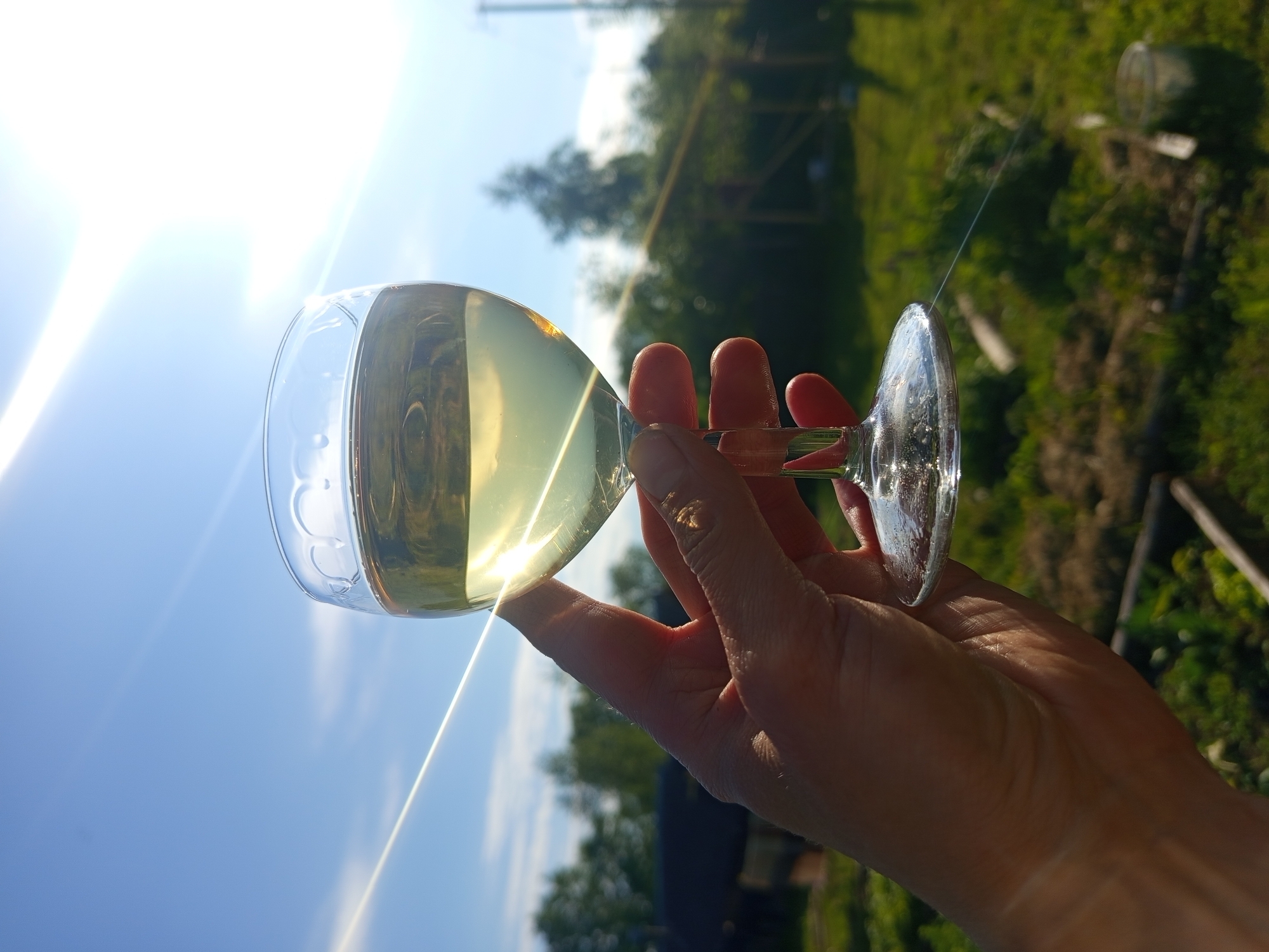 A human hand holds a clear, stemmed wine glass filled with a light, yellowish-green liquid against a bright outdoor background. The image is rotated 90 degrees clockwise. Intense sunlight streams from the upper-left, creating prominent lens flares and bright reflections on the glass and liquid, suggesting a clear and sunny day. The sky, a light blue, dominates the left side of the frame. The right side features a vibrant green, out-of-focus landscape with hints of trees and distant wooden structures, possibly a fence or a small building. A faint, thin white line, possibly a spider web or wire, is visible stretching across the mid-right background. The scene depicts a relaxed moment outdoors, likely in a garden or a rural area in Ostrovtsy, Russia, during daytime, possibly late afternoon, given the angle and intensity of the sun. No text is visible.