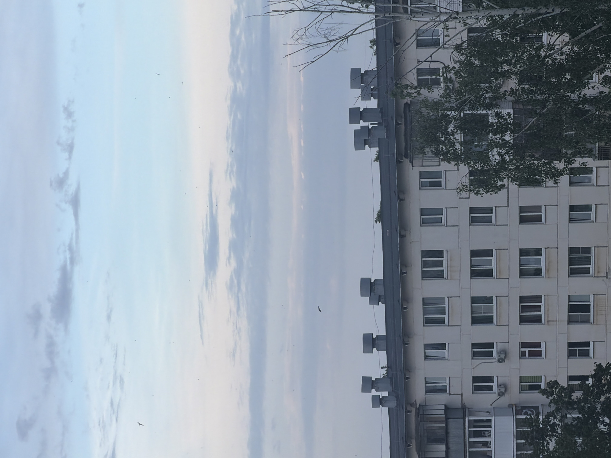 The image depicts a multi-story residential building in Chaikovsky, Russia. The building has a repetitive pattern of windows and is light-colored. Some windows have air conditioning units installed. There are tree branches visible near the building. Above, the sky is visible with some cloud cover. Numerous birds are flying in the sky. The building is topped with a series of boxy exhaust vents.