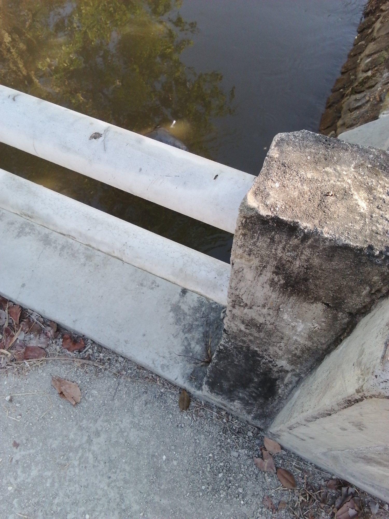 The image shows a close-up view of a bridge railing and the water below. The railing is made of concrete and has two horizontal pipes running along its length. The water is dark and reflects the green of trees from the bank. The bridge is made of concrete and stone. There are some dry leaves and debris on the ground near the bridge.