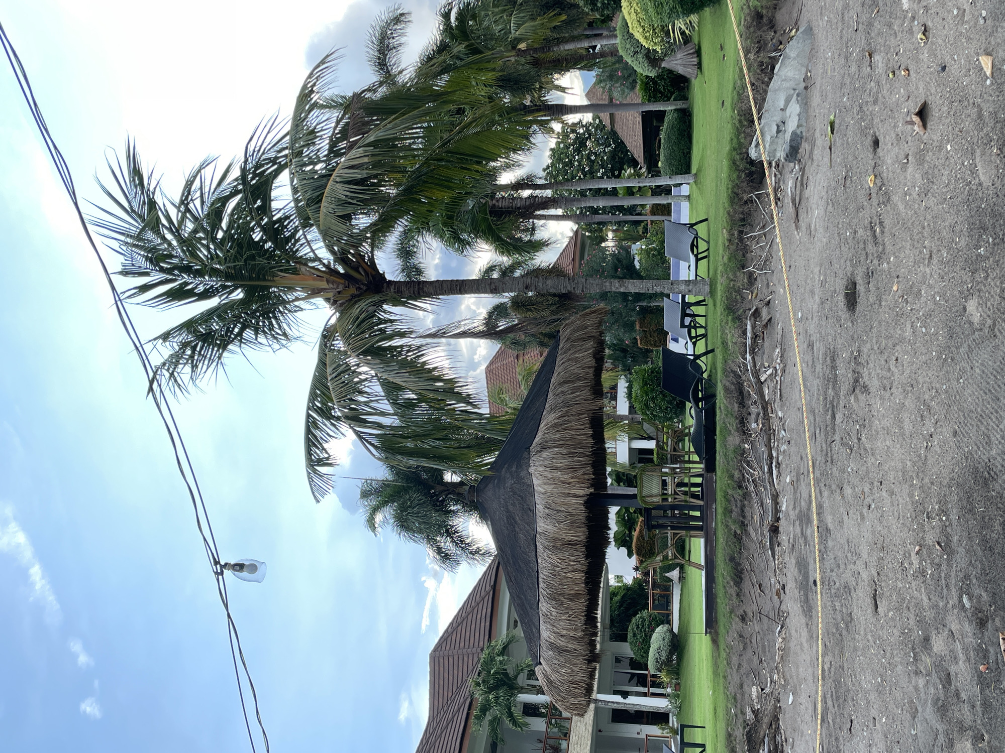 The image depicts a tropical resort scene in Dauin, Philippines, featuring a beach in the foreground and a lush green lawn with palm trees and resort buildings in the background. The beach is composed of dark sand and scattered debris, including branches and rocks. A yellow rope cordons off the beach area from the lawn. The lawn is well-maintained, with several lounge chairs and a thatched-roof umbrella providing shade. Palm trees are prominent throughout the scene, with their fronds reaching towards a partly cloudy sky. In the background, a multi-story resort building with white walls and a brown tiled roof is visible. The overall impression is one of a serene tropical vacation destination.