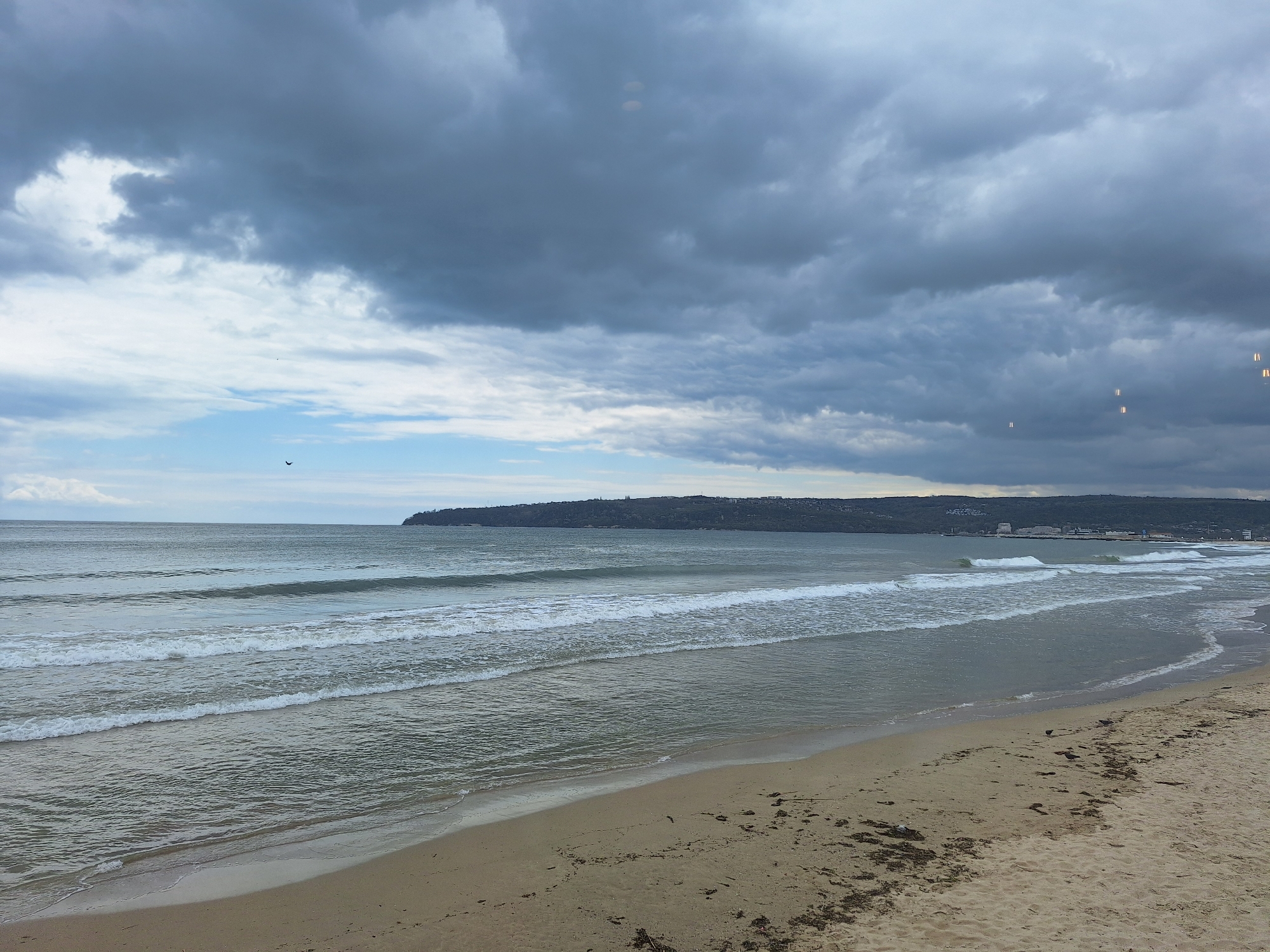 The image presents a wide, panoramic view of a beach and the sea on an overcast day in Varna, Bulgaria. The scene is dominated by a heavy, cloudy sky, with dark grey clouds covering most of the upper frame, contrasting with a sliver of lighter blue sky visible towards the left horizon. Two tiny, dark birds are faintly visible flying against the lighter sky.
The sea occupies the midground, its surface a calm, grey-green hue. Gentle waves with white foamy crests are seen rolling towards the shore in multiple parallel lines. In the distant background, a long, dark landmass, likely a coastline or headland, stretches across the horizon. This landmass appears to be covered in trees or vegetation, with some indistinct buildings or structures visible along its base.
The foreground consists of a wide, sandy beach. The sand is a light brown color, appearing wet near the water's edge and drier further up the shore. Dark patches of what looks like seaweed or natural debris are scattered across the sand. There are no people or man-made objects clearly visible on the beach or in the water.
The time of day appears to be either early morning or late afternoon, or simply a day with persistent heavy cloud cover, creating diffused light and a somewhat muted color palette. The weather is clearly cloudy and overcast, suggesting a cool or mild day. The overall atmosphere is quiet and tranquil, with no apparent activity other than the natural movement of the waves. No text is visible in the media file.