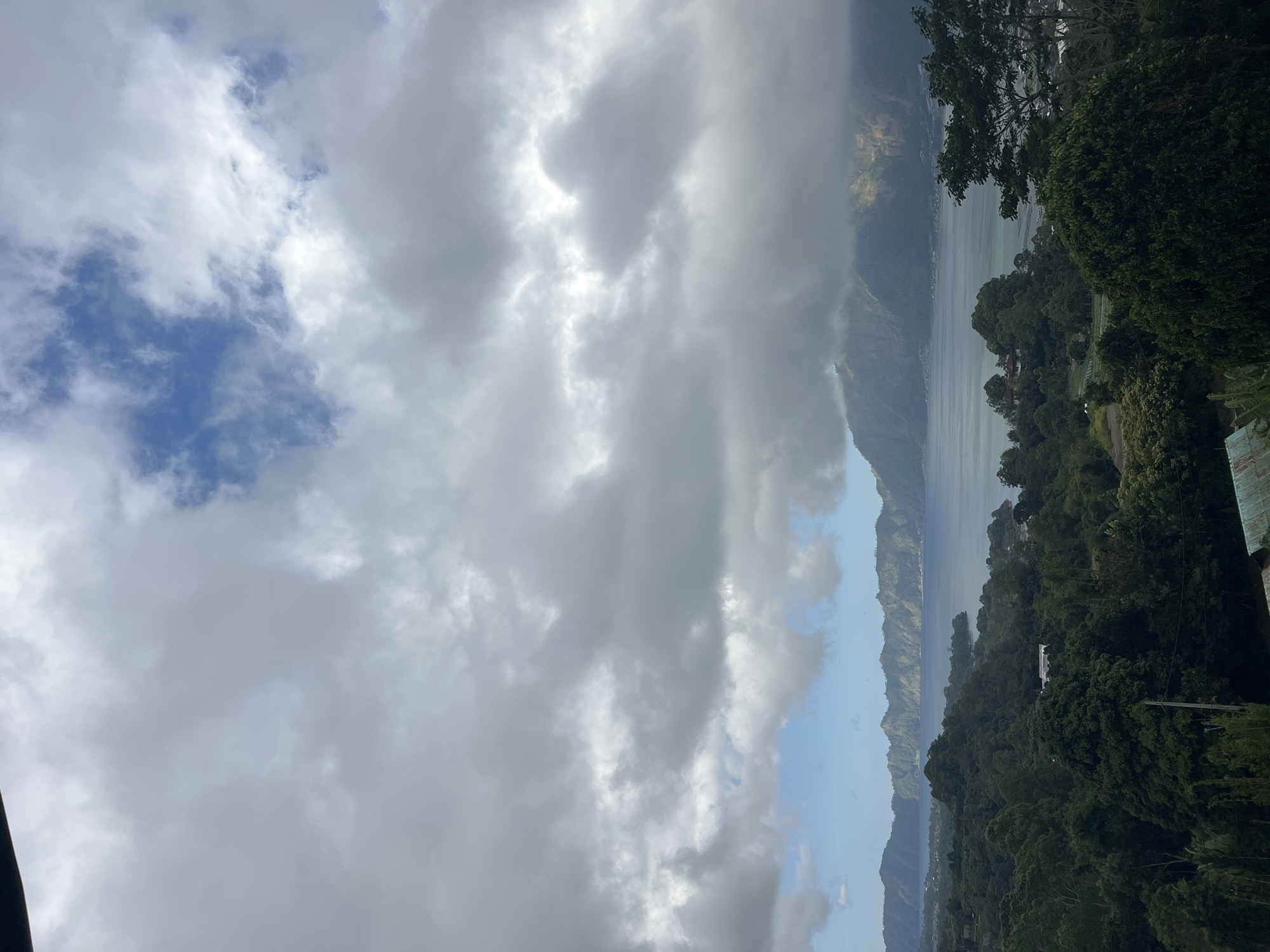 The image captures a panoramic view of a serene lake and surrounding mountains under a dramatic, cloudy sky. The foreground is dominated by lush, dense green foliage, suggesting a tropical environment. In the midground, the calm, vast expanse of a lake stretches out, with a shoreline dotted by scattered buildings and vegetation. The background features a range of majestic mountains, their peaks partially obscured by thick, swirling clouds. The light is diffused, creating a soft, atmospheric mood. This vista is characteristic of the Kintamani region in Indonesia, known for its volcanic landscapes and caldera lakes, specifically likely Lake Batur. There are no people or discernible actions taking place within the frame, emphasizing the natural beauty of the landscape.