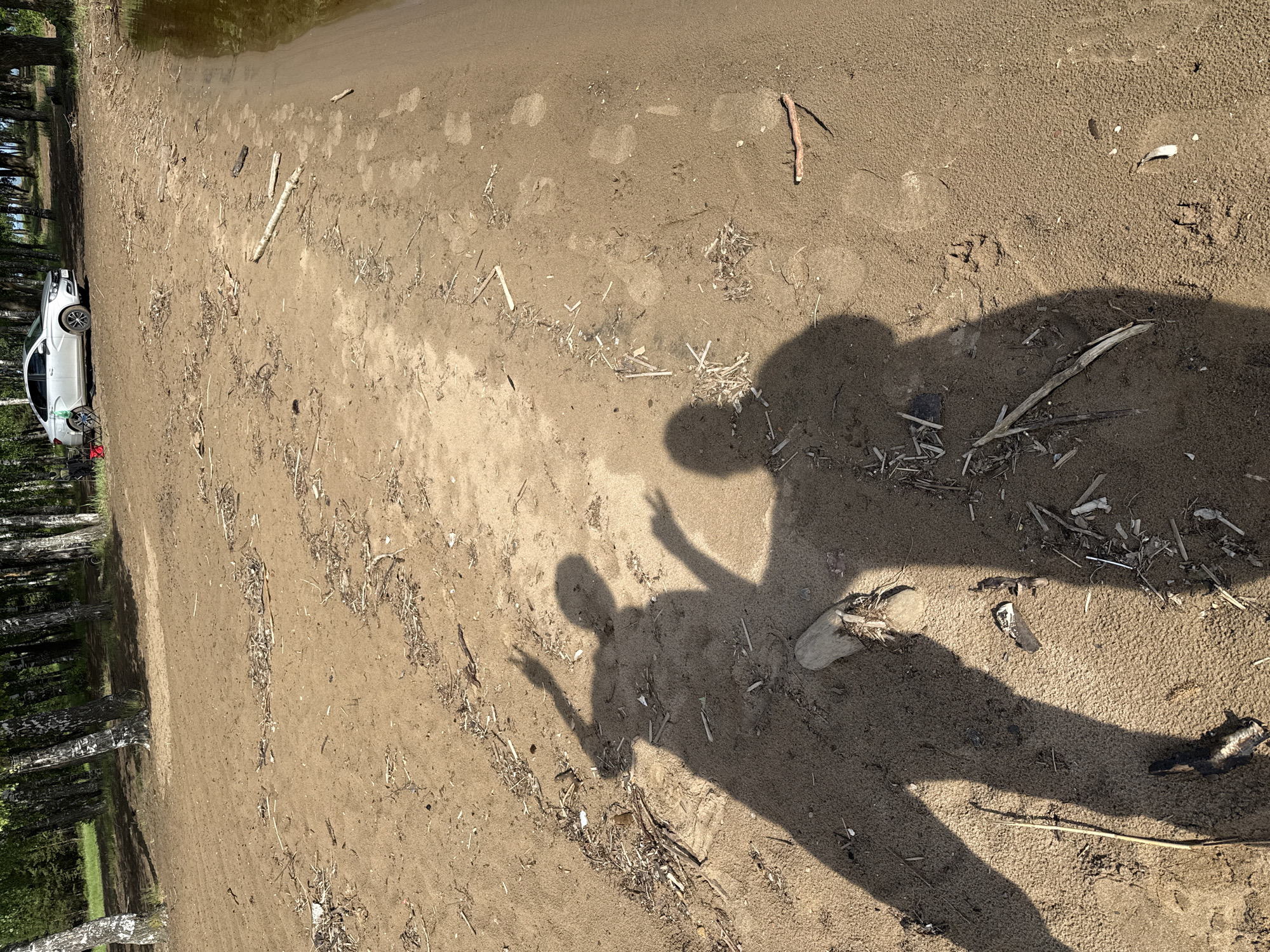 The image depicts a sandy area beside a body of water, possibly a beach, in Noviy, Russia. A white car is parked near a line of trees to the left. Debris, including small sticks and twigs, are scattered across the sand. Shadows of two individuals are cast on the sand, both gesturing with their hands raised. The lighting indicates it is daytime. There are footprints in the sand and there appear to be tyre tracks from the car.