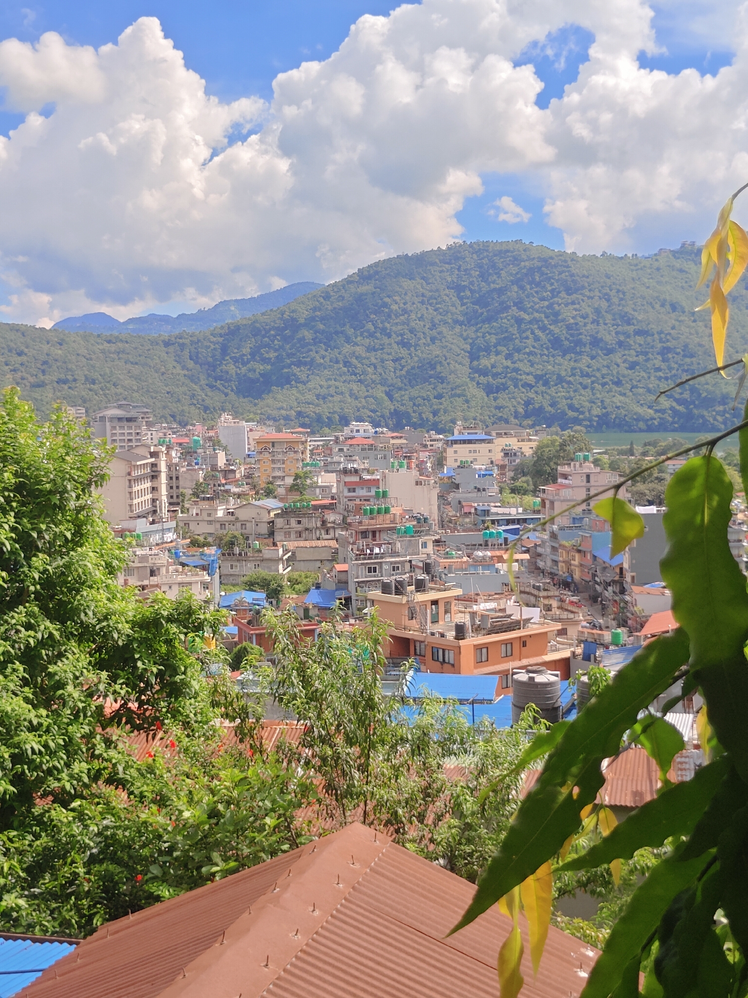 The image shows a panoramic view of a densely populated urban area in Pokhara, Nepal. The cityscape is characterized by numerous multi-story buildings of varying architectural styles and colors, many with corrugated metal or blue-tiled roofs. Water tanks are visible on many rooftops, indicating a common feature of urban infrastructure in the region. The buildings are clustered together, suggesting a compact urban layout.
In the foreground, lush green trees and foliage frame the scene, with some leaves appearing yellowish, suggesting a potential seasonal change or lighting effect. A brown, corrugated metal roof of a building is prominently visible in the lower part of the image.
In the background, rolling green hills form a dramatic backdrop to the city, with denser vegetation covering their slopes. The sky above is a vibrant blue, dotted with large, fluffy white clouds, indicative of fair weather. In the far distance, faint outlines of mountains are visible, contributing to the scenic beauty of the location.
The image captures a typical urban landscape in Pokhara, a city known for its natural beauty and mountainous surroundings. The composition suggests a viewpoint from a higher elevation, looking down upon the city. No people are clearly discernible in the image. The overall scene conveys a sense of a bustling city integrated with its natural environment.