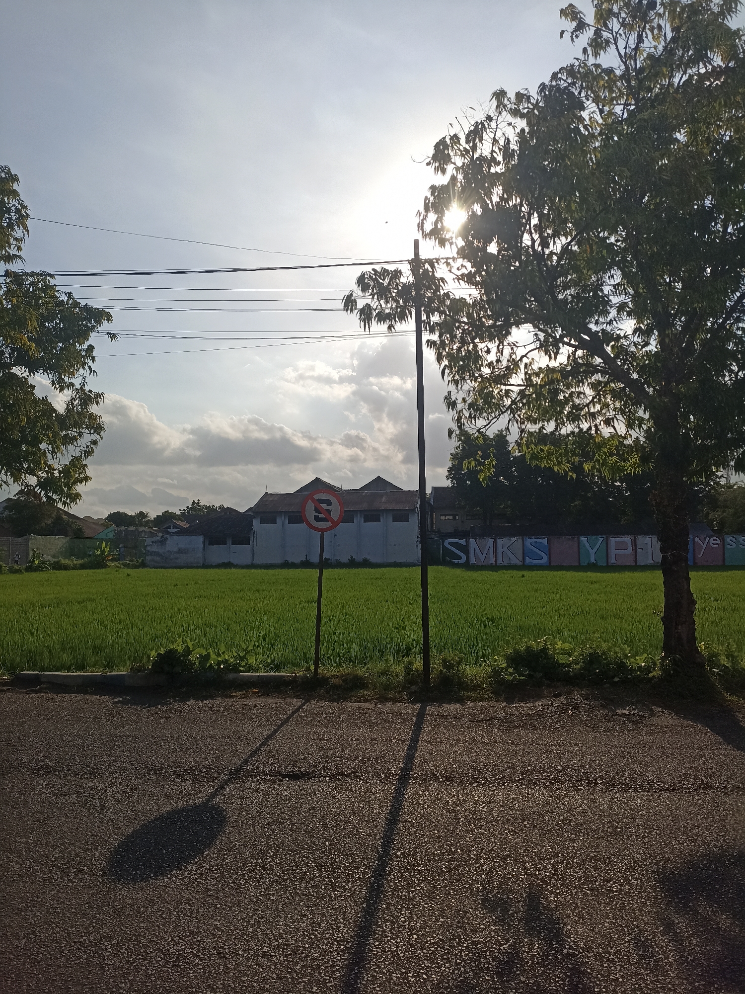 The image depicts a sunlit scene with a paved road in the foreground. To the right, a tree stands tall, casting a shadow on the road. Further back, a vibrant green field of rice paddies stretches across the landscape, bordered by a low wall with colorful graffiti spelling out "SMKS YP1 YE SS". Behind the field, several buildings with white walls and grey roofs are visible, along with a street sign displaying a red circle with a white "S" inside. Power lines traverse the sky, and a bright sun peeks through the clouds, suggesting it is either early morning or late afternoon. The scene appears to be located in Tompokersari, Indonesia.