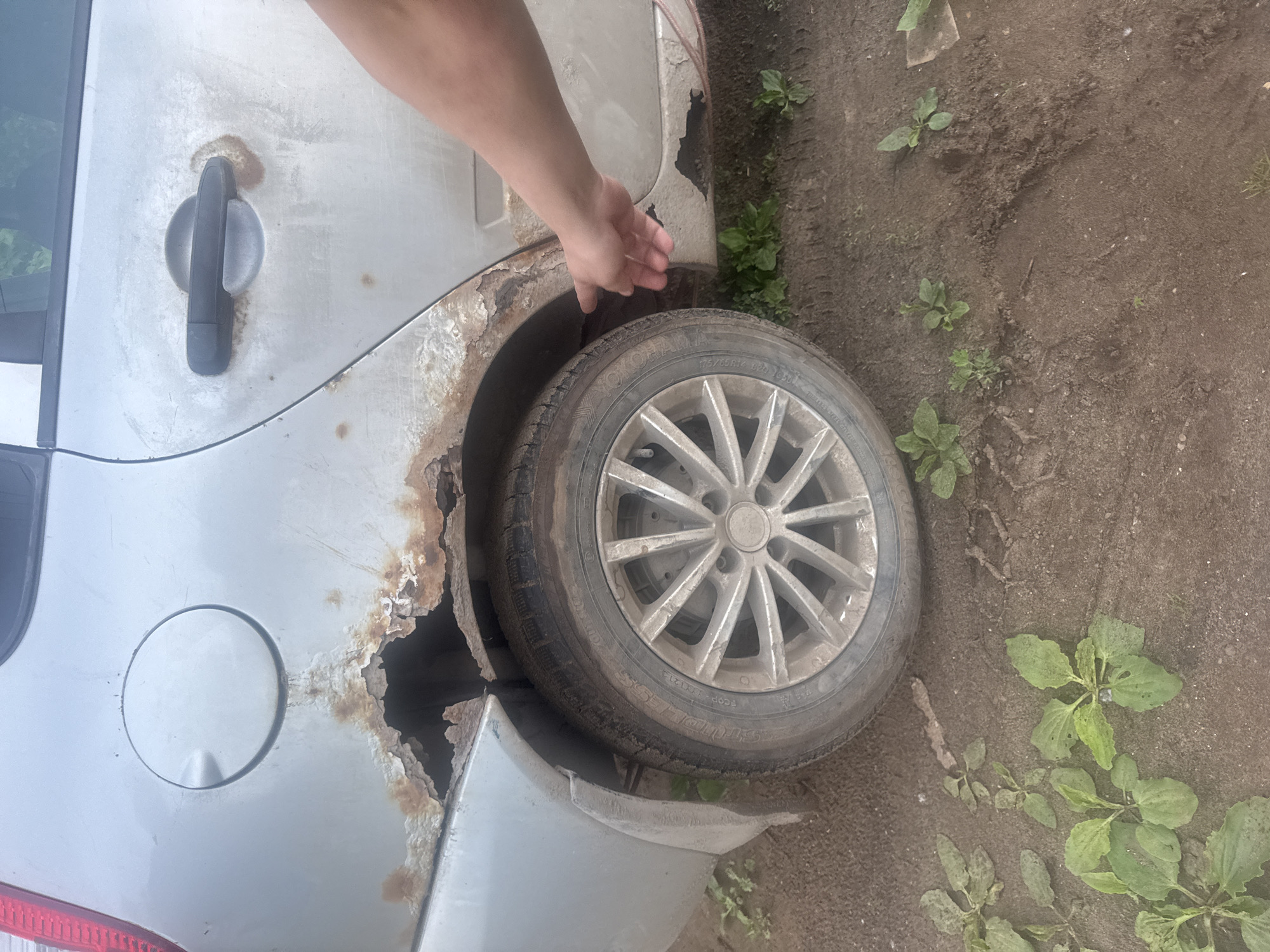 An outdoor, slightly overhead shot captures the rear quarter panel of a light-colored, heavily rusted car, likely in Chaikovsky, Russia. The main subject is the severely corroded bodywork around the rear wheel arch, with a person's hand reaching into the cavity, seemingly inspecting or indicating the damage.
The car's silver or light grey paint is visibly faded and stained, with significant rust spreading from the wheel well. Large sections of the metal around the arch have rusted completely through, exposing the interior structure. A black car door handle is visible on the upper left, also showing signs of wear and a ring of grime. A circular fuel cap is present on the lower rear quarter panel. Part of a grey, possibly plastic, fender flare or bumper piece is detached and hanging near the tire.
The car is parked on uneven, dark brown dirt or mud, which has scattered green plants growing in it, resembling weeds like plantain. Some faint tire tracks or foot impressions are visible in the soil.
The tire is a Yokohama brand, with the size "175/65R14 82T" clearly legible on its sidewall. The multi-spoke alloy wheel appears dirty but intact. The overall impression is one of significant vehicle deterioration and neglect in an outdoor, potentially unpaved setting. The lighting suggests it is daytime.