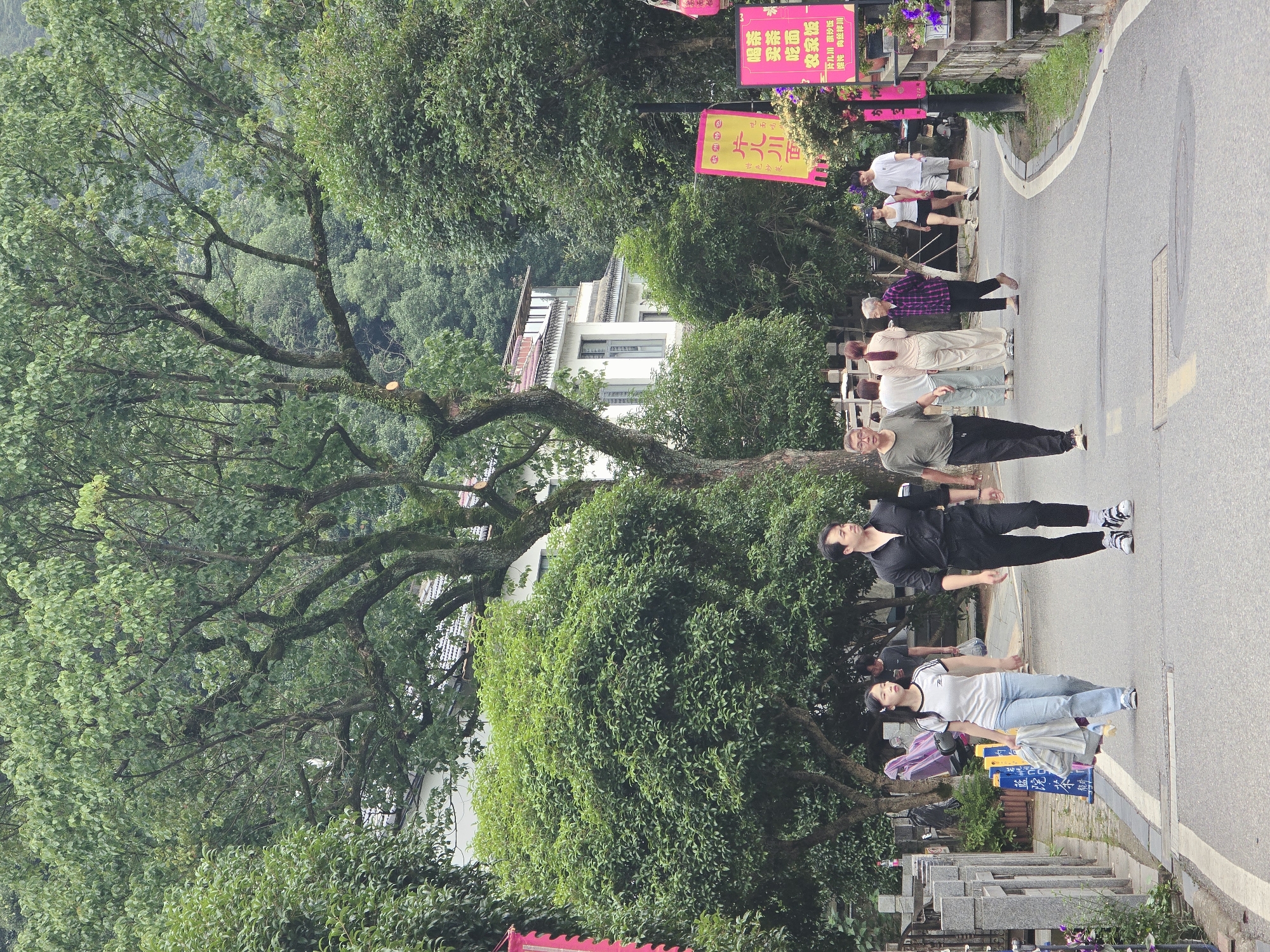 In the Xihu District of China, a tree-lined paved road runs through a lush green environment, suggesting a park or residential area. Several people are walking on the road and along the sides. In the foreground, a man in a black shirt and black pants, with white sneakers, walks towards the right. To his left, a young woman in a white t-shirt with black stripes on the sleeves and light blue jeans walks with a jacket draped over her arm. Further down the road, an older man in a green t-shirt and black pants walks left. Behind him, several other individuals are visible, including a woman in a pink shirt and cream pants, and an older woman in a plaid shirt. In the background, a multi-story building with white walls and a red-tiled roof is partially visible, surrounded by dense green trees. Several red and yellow banners with Chinese characters are hanging from lampposts, advertising local businesses or events. The scene is characterized by abundant foliage, indicating a natural or well-maintained outdoor setting within the district.