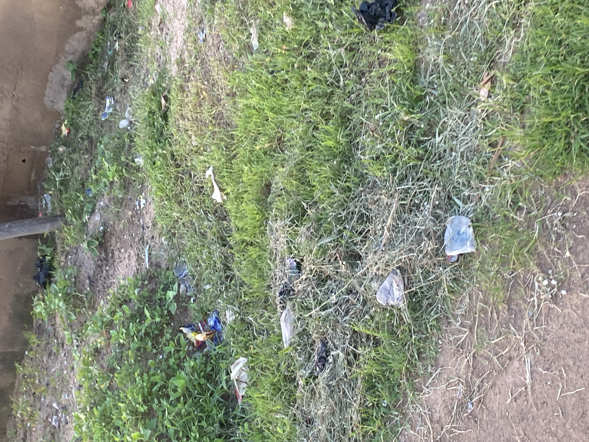 The image shows an outdoor scene with scattered litter in a grassy area adjacent to a building. The environment appears to be a neglected patch of land in Jauro Yinu, Nigeria. The ground is covered in dry grass and sparse green vegetation, with a dirt path visible in the foreground. Various pieces of trash, including plastic bags, wrappers, and other debris, are strewn across the area. The building in the background has a rough, textured wall. No people or animals are present in the scene. The overall impression is one of disarray and a lack of maintenance.