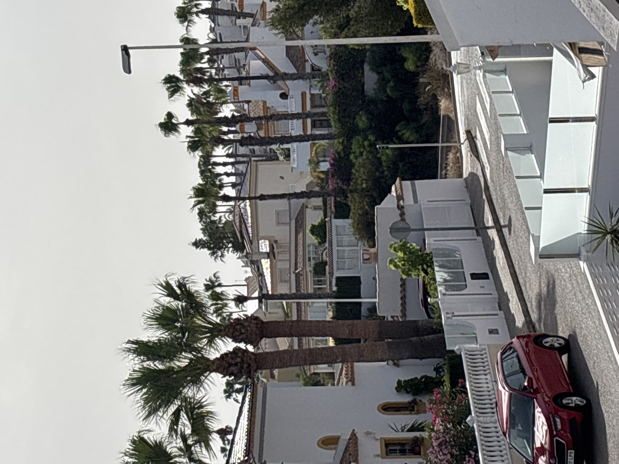The image depicts a street scene in Orihuela, Spain, characterized by a row of palm trees lining a residential area with white buildings. A bright red car is parked on the right side of the street, its front facing towards the viewer. The buildings appear to be houses or villas, with Mediterranean architectural elements like terracotta roofs and arched windows visible. Lush greenery, including bushes and flowering plants, adds to the vibrant feel of the scene.
The lighting suggests it is daytime, with bright sunlight casting shadows. The sky is overcast, indicating potentially cloudy weather. The presence of palm trees is a strong indicator of a warm, possibly tropical or subtropical climate, consistent with the given location context of Spain.
There are no people visible in the image, and the focus is on the inanimate objects and the setting. The overall mood is calm and serene, capturing a snapshot of a typical street in a sunny, residential neighborhood.
The only visible text is a license plate on the red car, which appears to read "7 LP5".