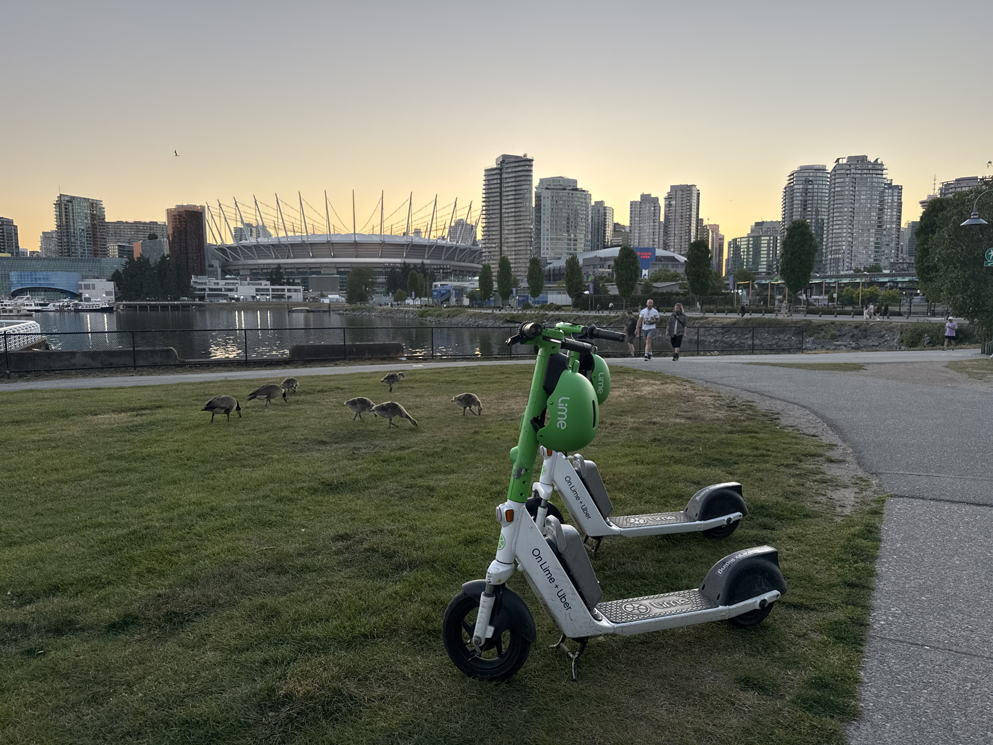The image captures a waterfront scene in Vancouver, Canada, at dusk. In the foreground are two Lime-Uber electric scooters parked on a grassy area. Several Canada geese are foraging nearby. In the midground, a body of water separates the foreground from the city skyline. The skyline features several modern high-rise buildings and the distinctive profile of BC Place stadium, identifiable by its white dome and array of support cables. A walking path runs along the waterfront, where a few people are strolling. The sky is a soft gradient of colors, indicating either sunrise or sunset.